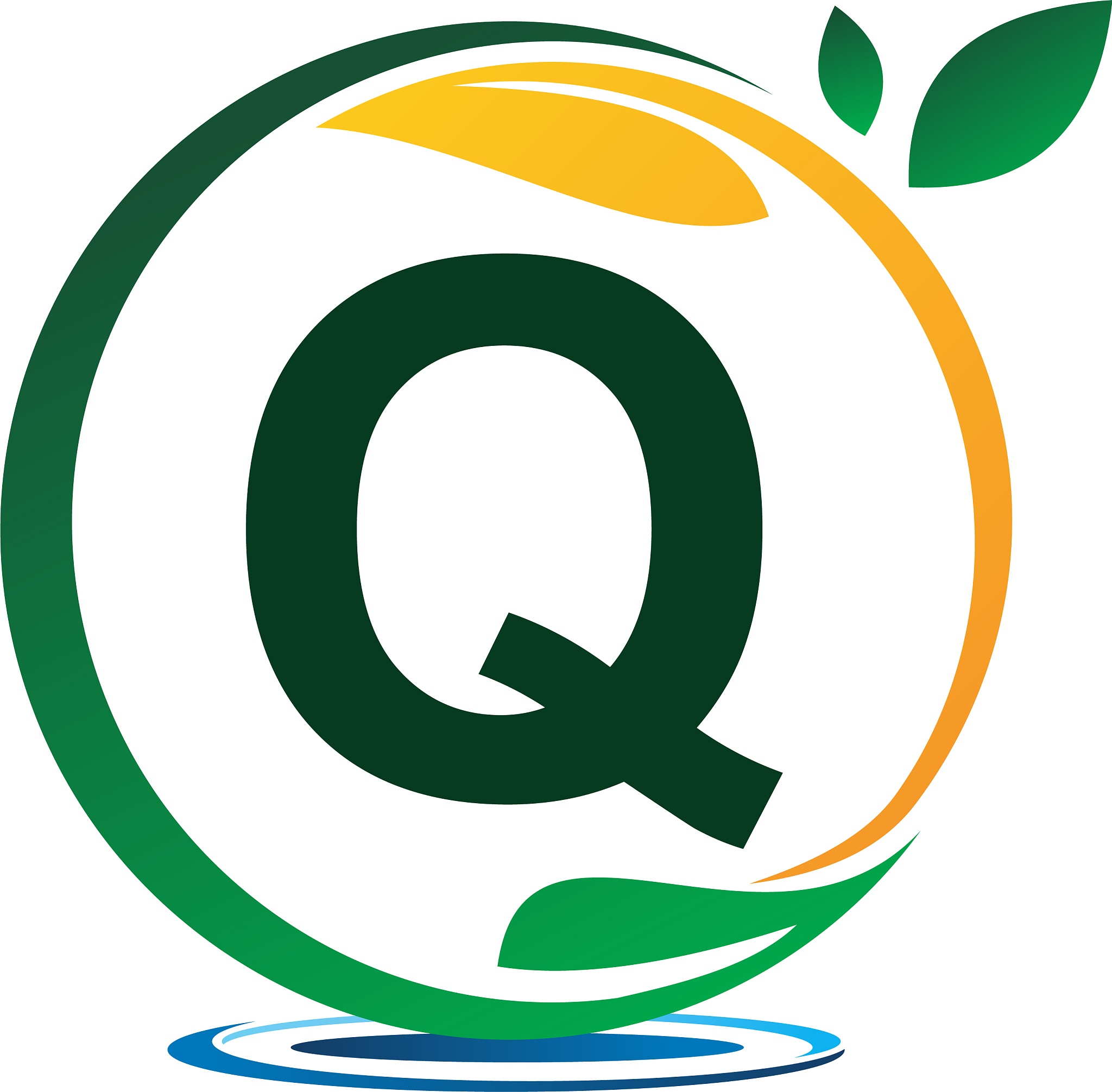 green project solution letter q