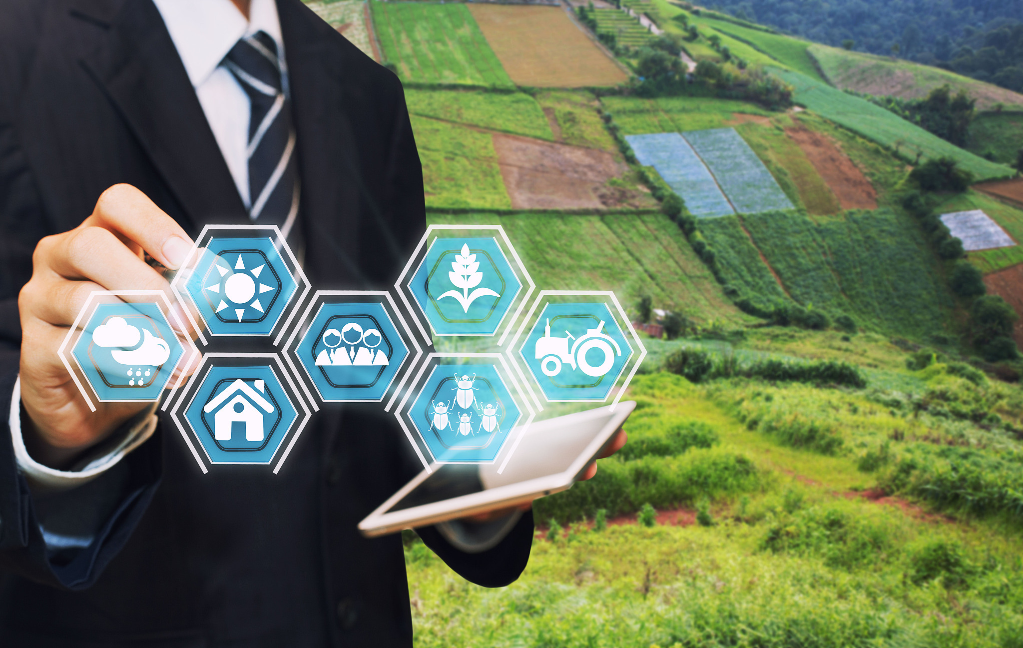 数字化推动城乡产业融合：机遇与挑战