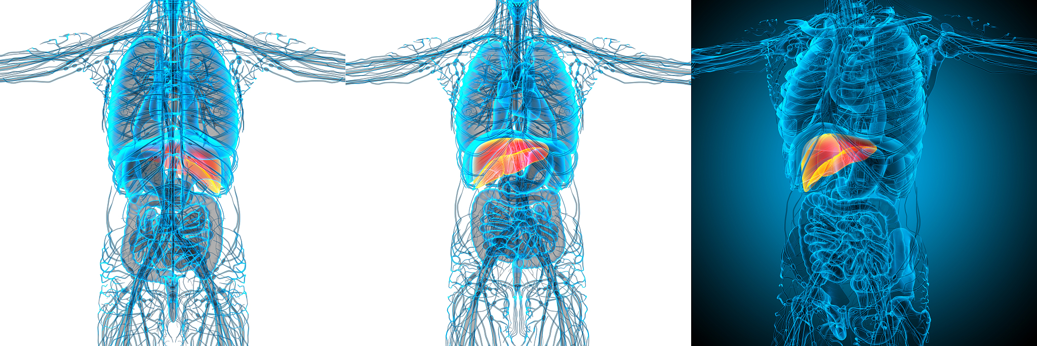国珍牌松花参宝片的副作用是什么？