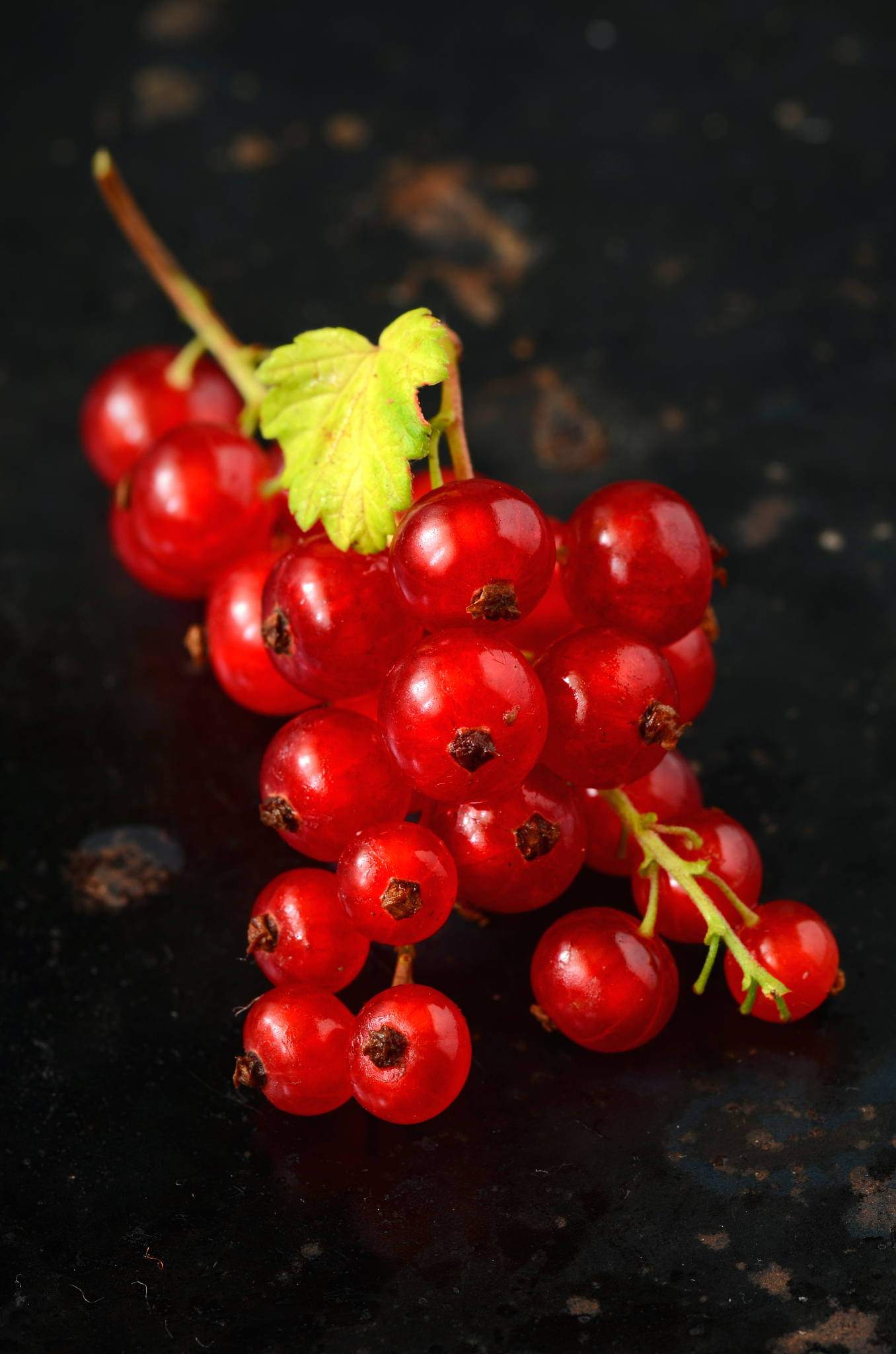 red currant berries