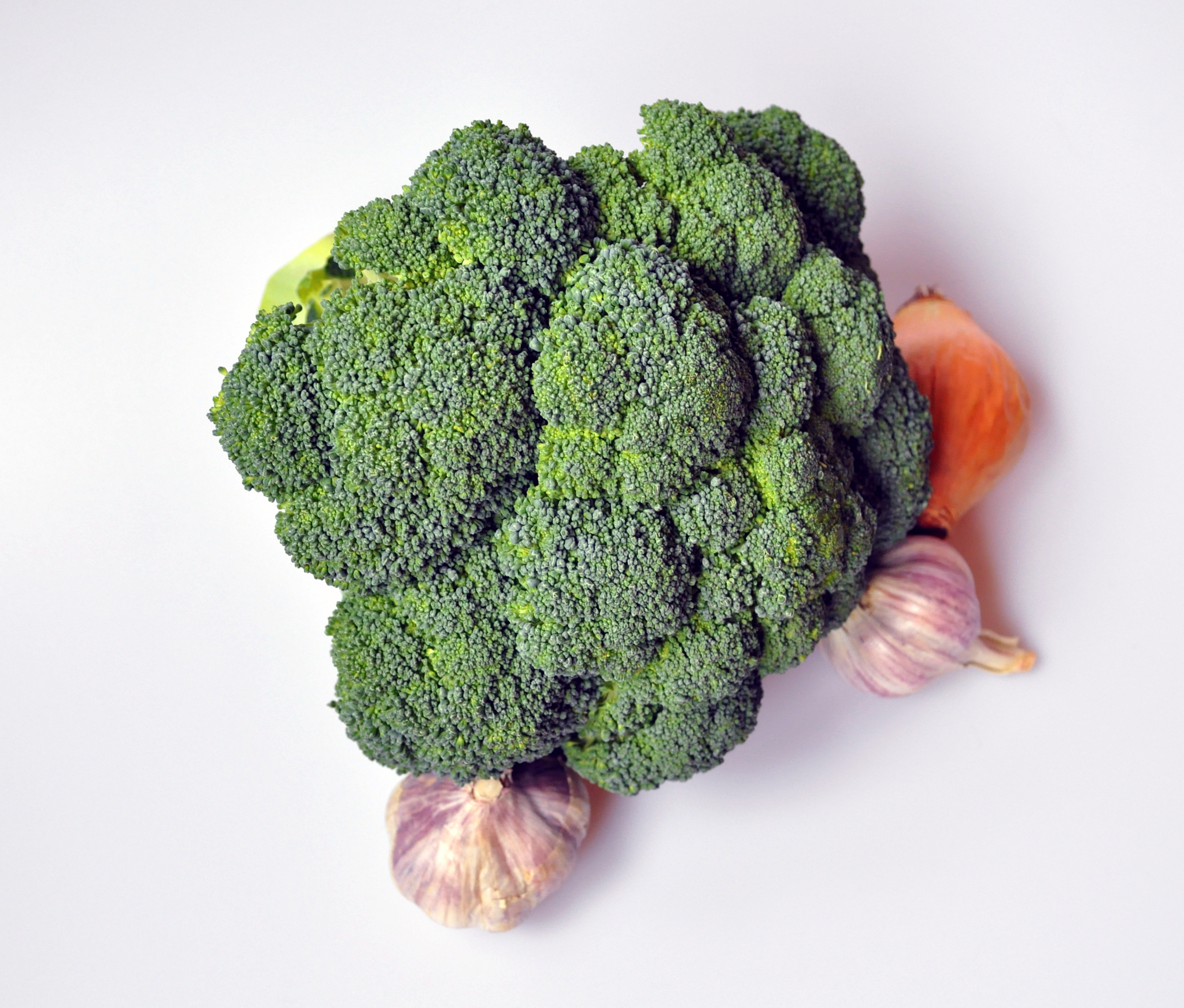 《中华人民共和国禁止携带、邮寄进境的动植物及其产品名录》