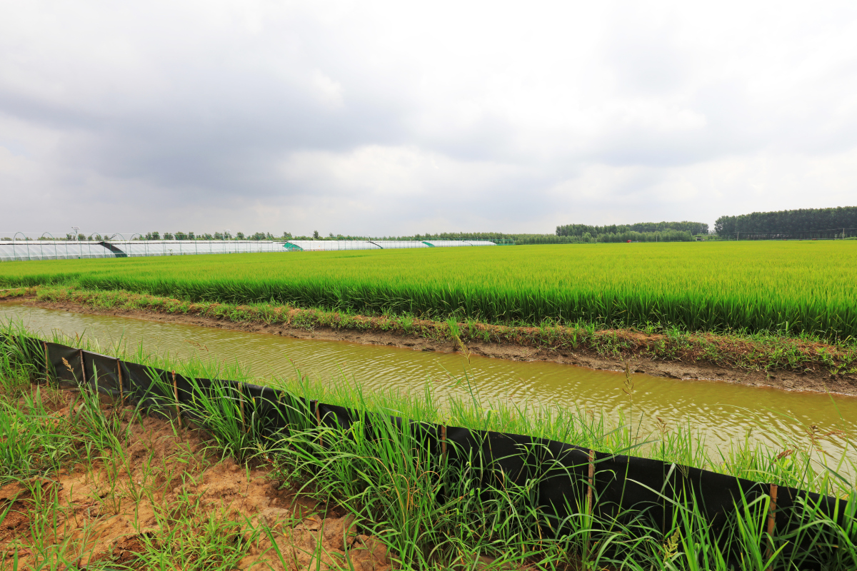 农、林、牧、渔业项目名称