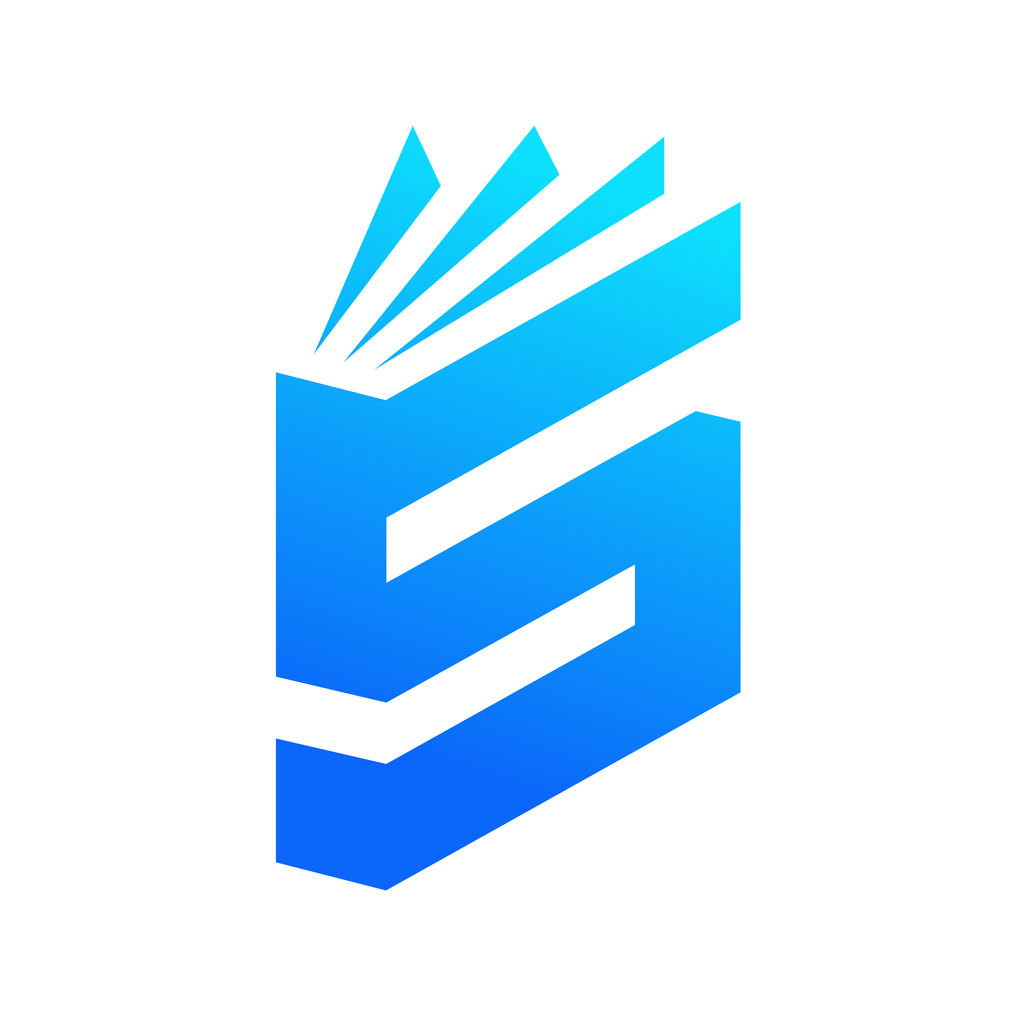 initial s book