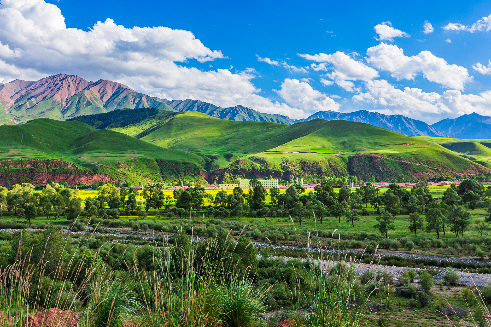 青海省青稞和牛羊肉交易中心发展：社会文化要素分析