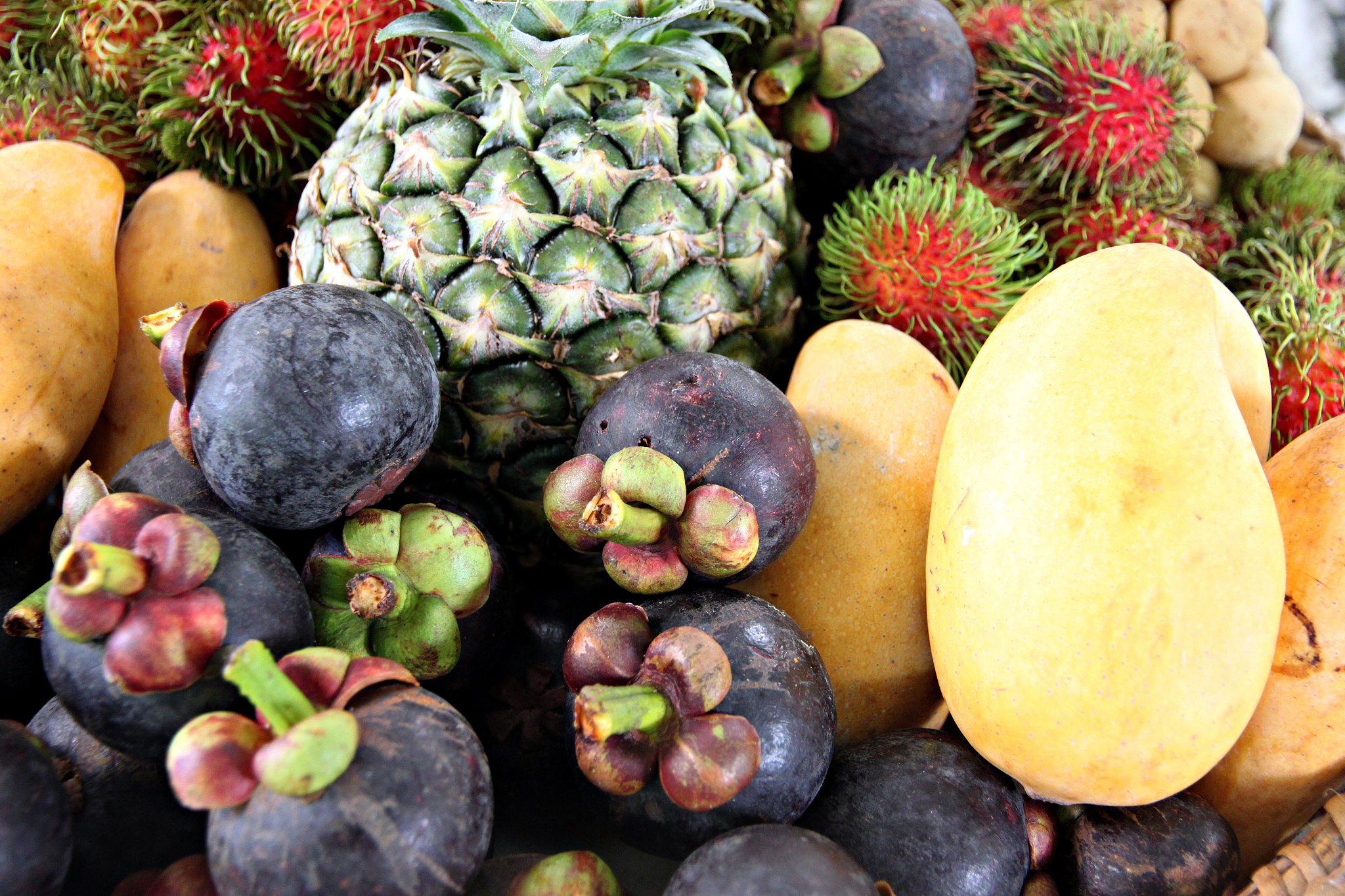 Discover Local Free Food: Explore Edible Plants with Falling Fruit