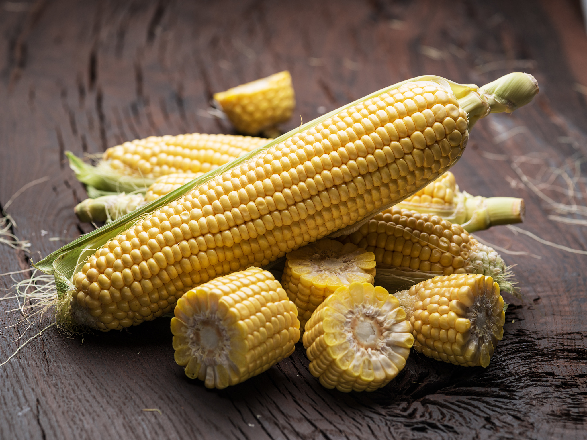 Kernel Weight: The Key Driver of Maize Yield Variation