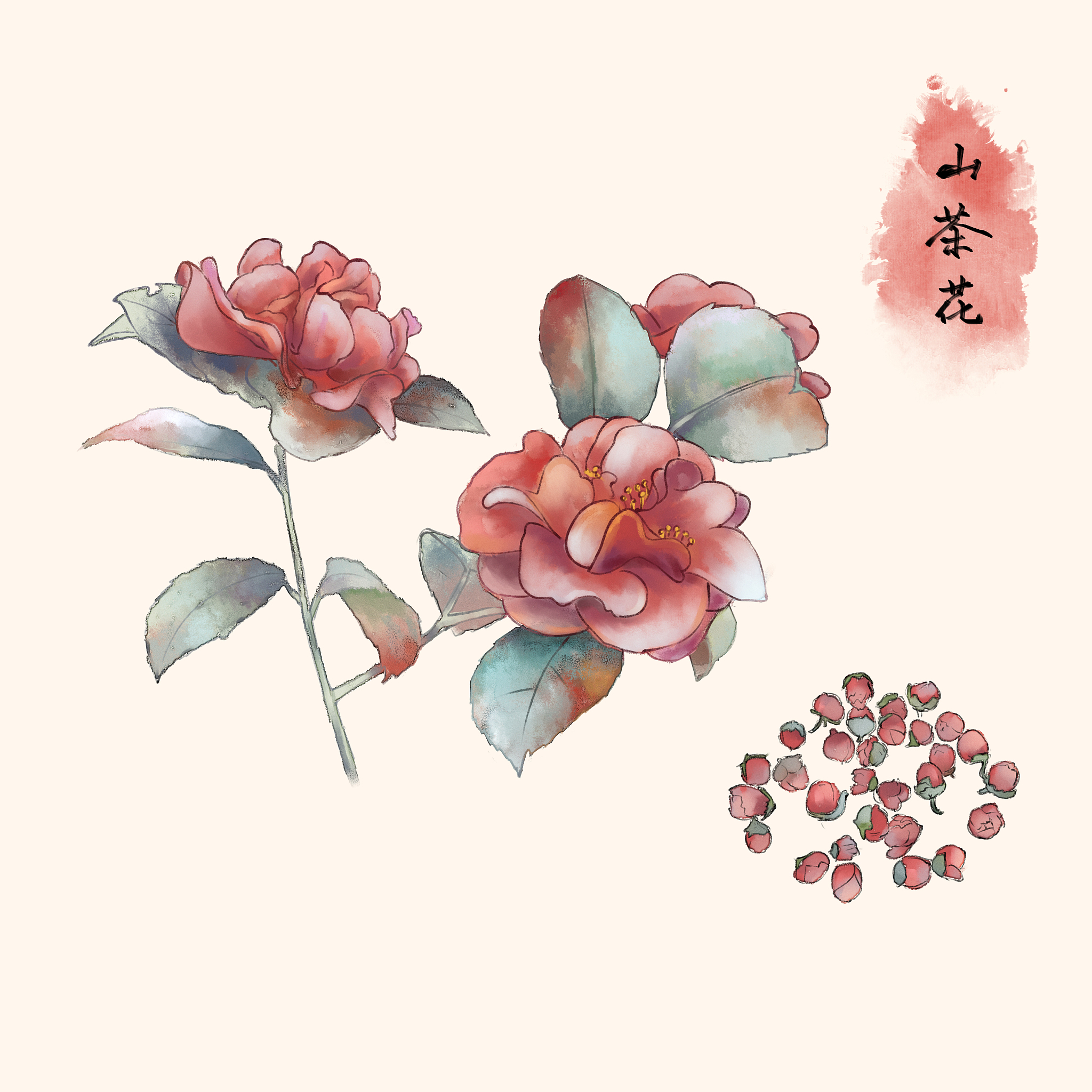 重庆三峡医药高等专科学校中医养生保健专业详细介绍