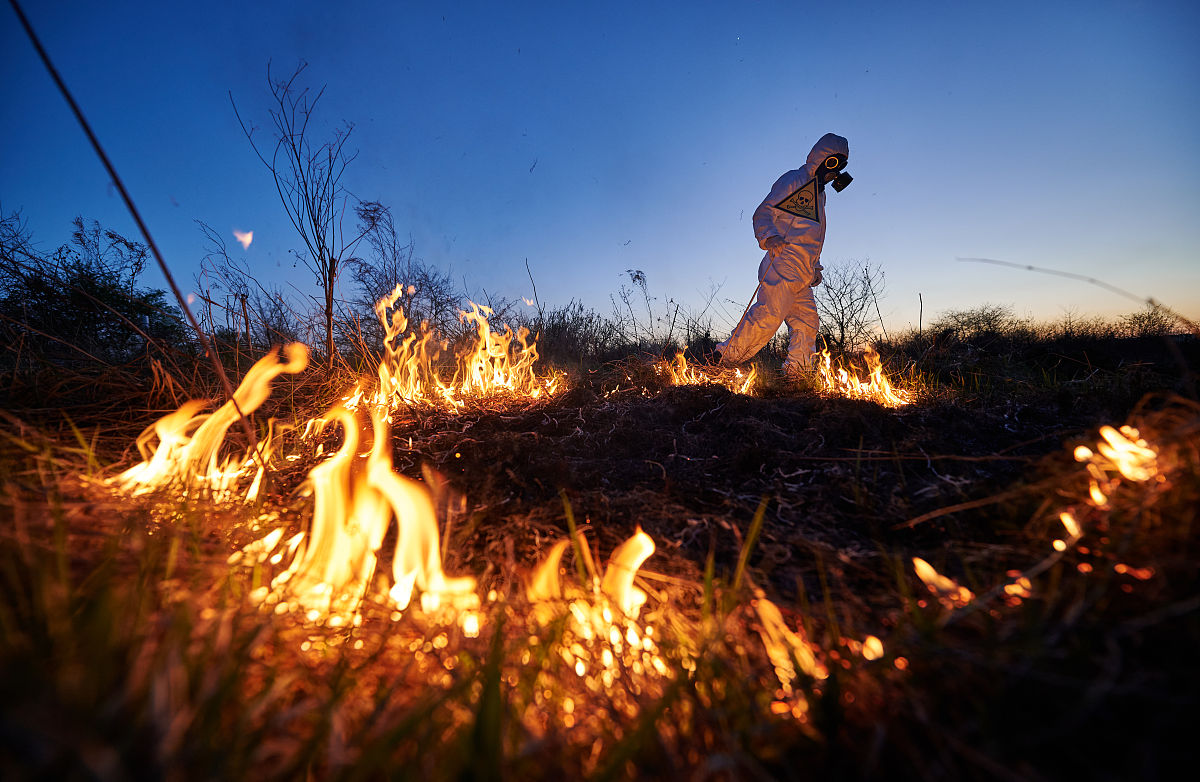 EVOLUTION期刊: 生物进化研究的权威平台