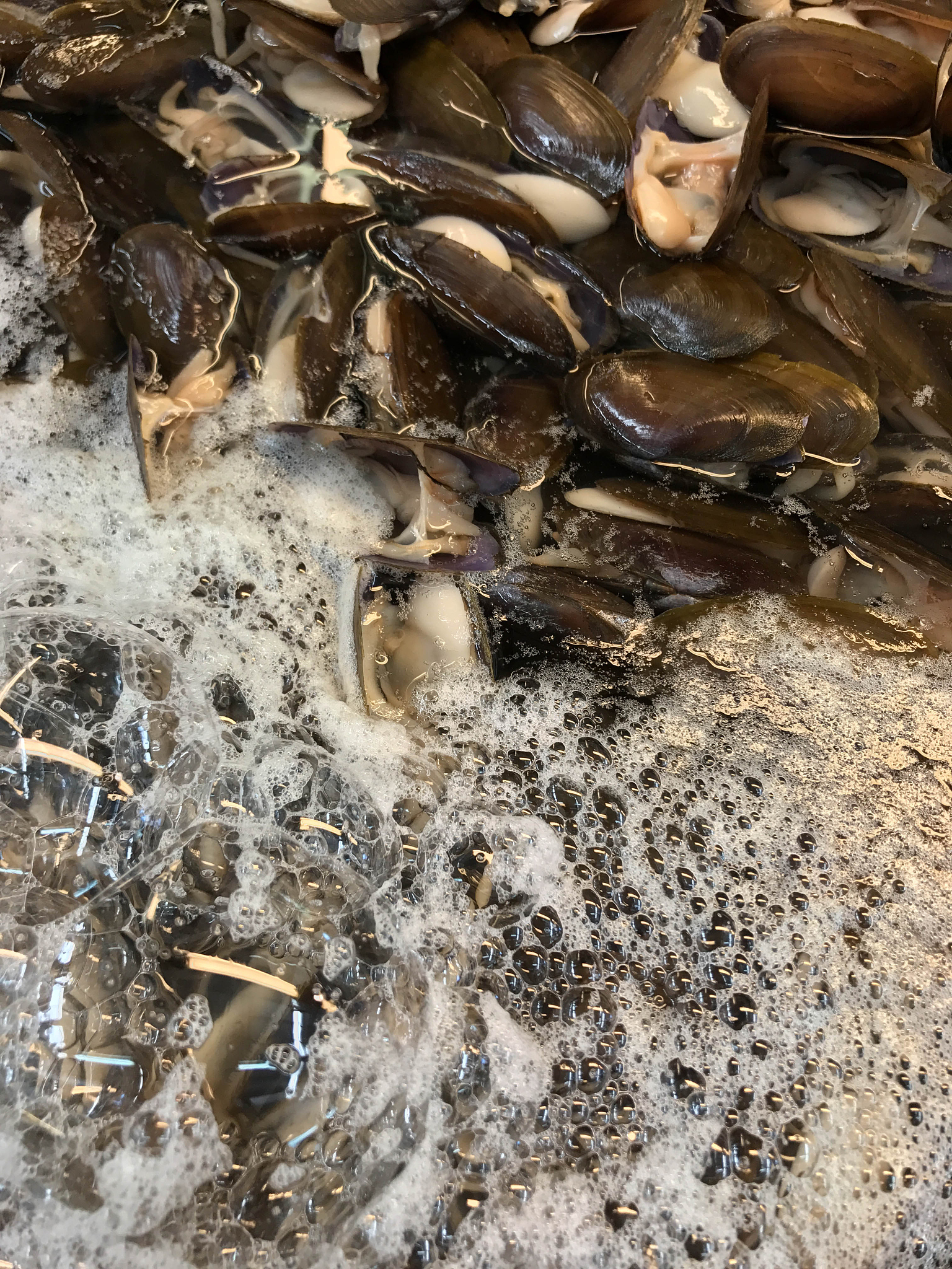 钉螺臭味原因：体内物质、环境污染、清洁保养