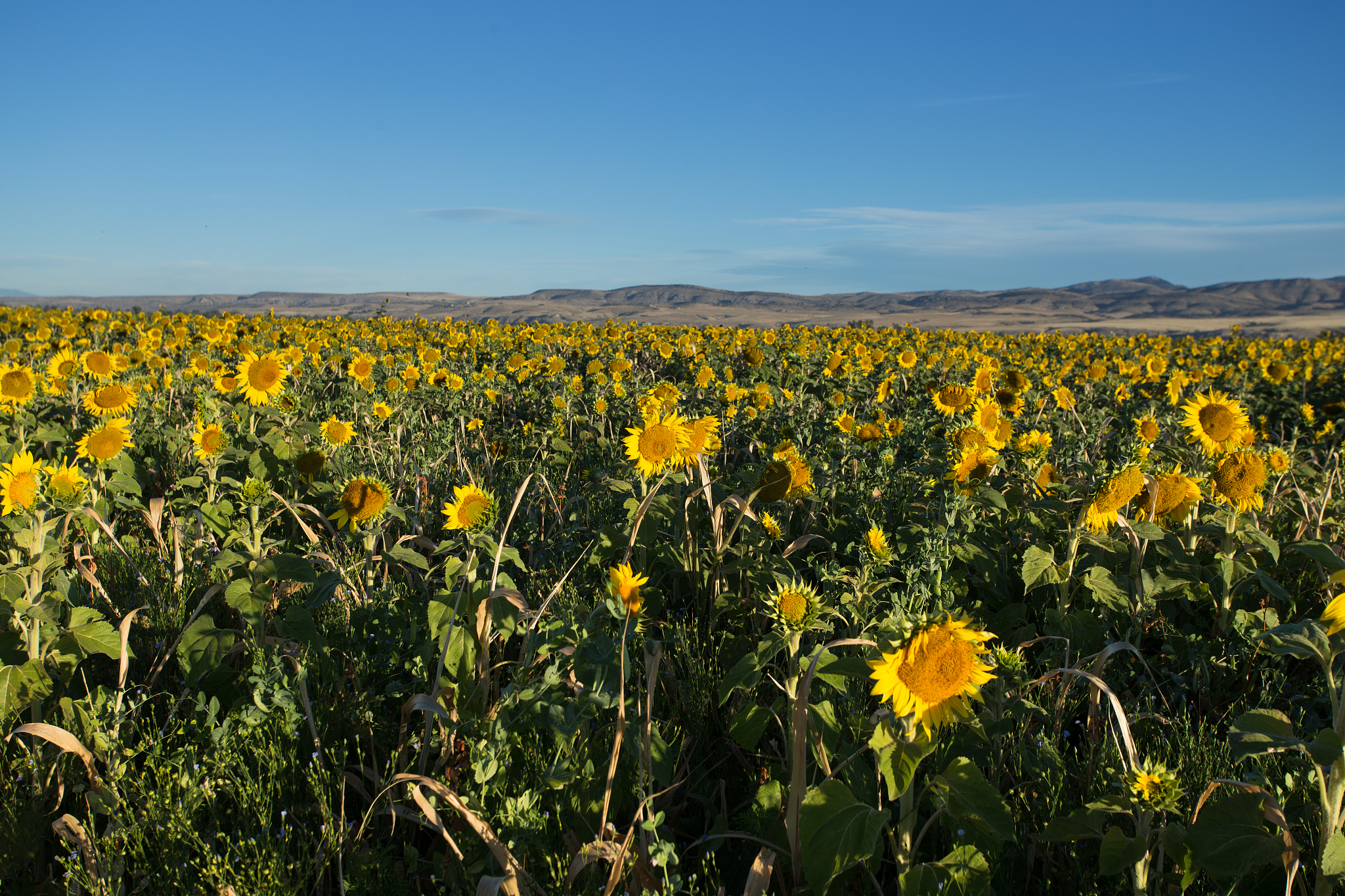 宁夏农业学校招生简章 | 培养农业人才，成就未来梦想