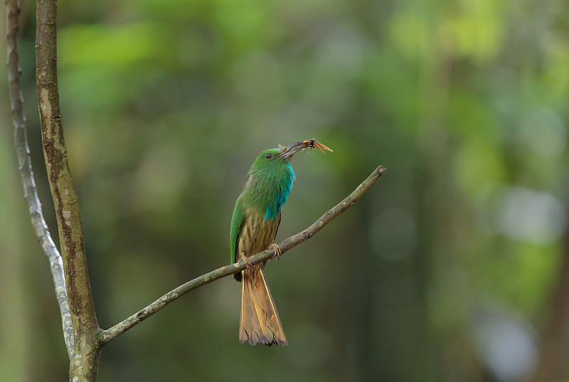 赞美父爱的诗句名言