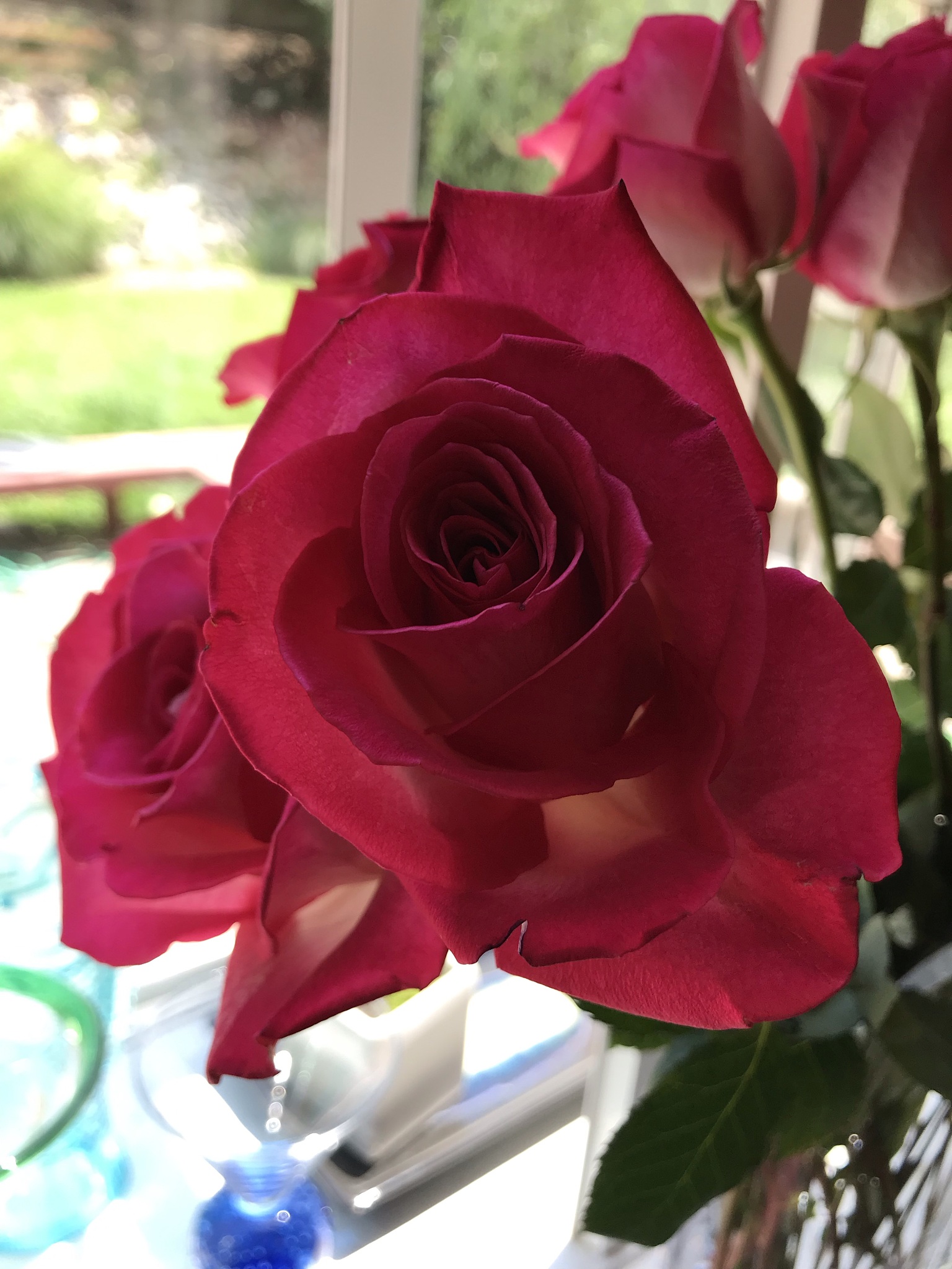 红色玫瑰花品牌：花匠、蓝色妖姬、花好月圆等