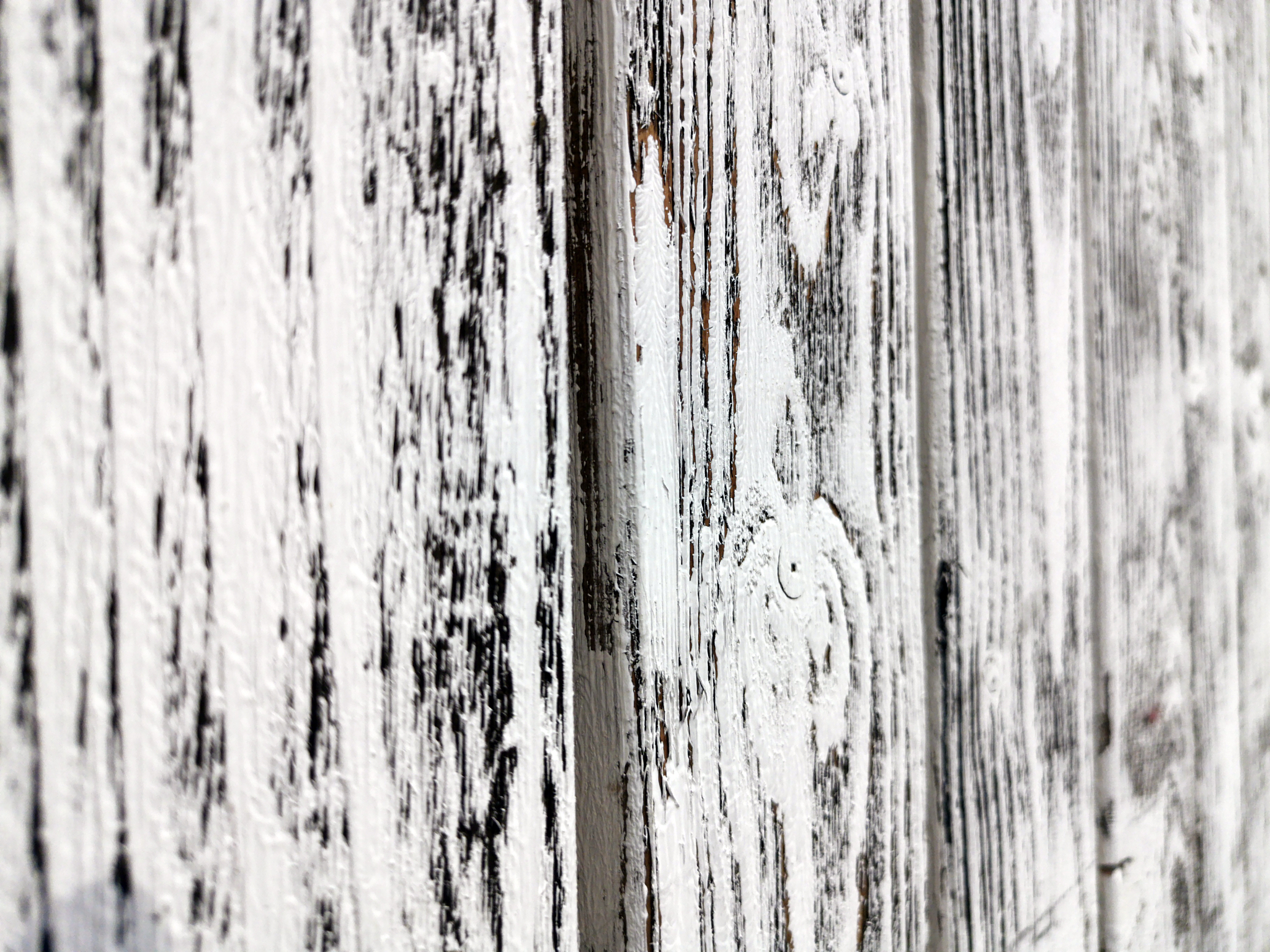 white beautiful wood backgrounds. concept. space for your text.