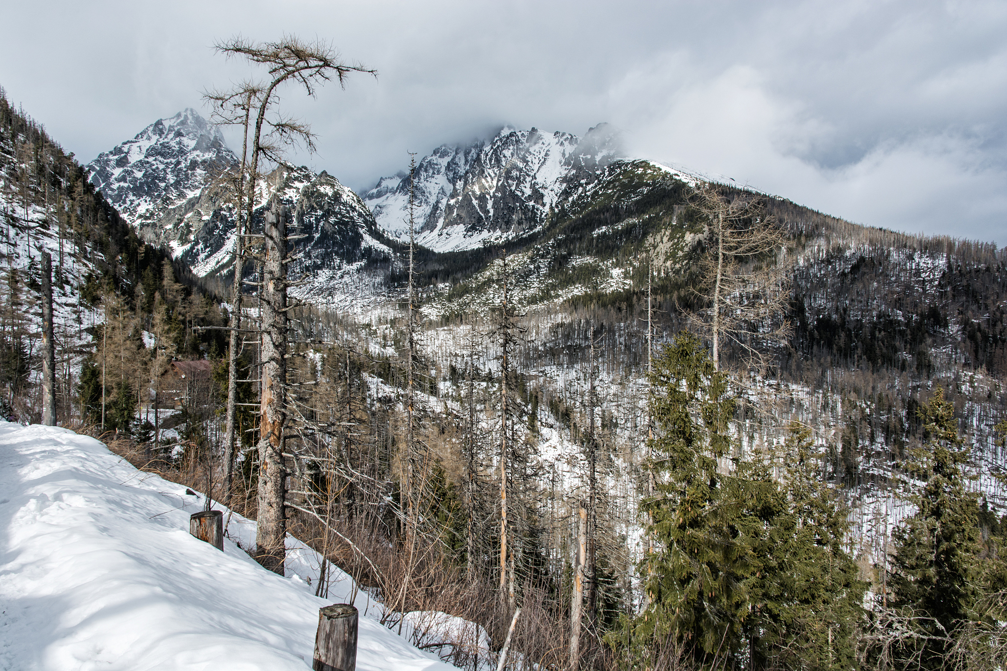 Scenic Mountain Road: A Breathtaking View of a Snow-Capped Peak