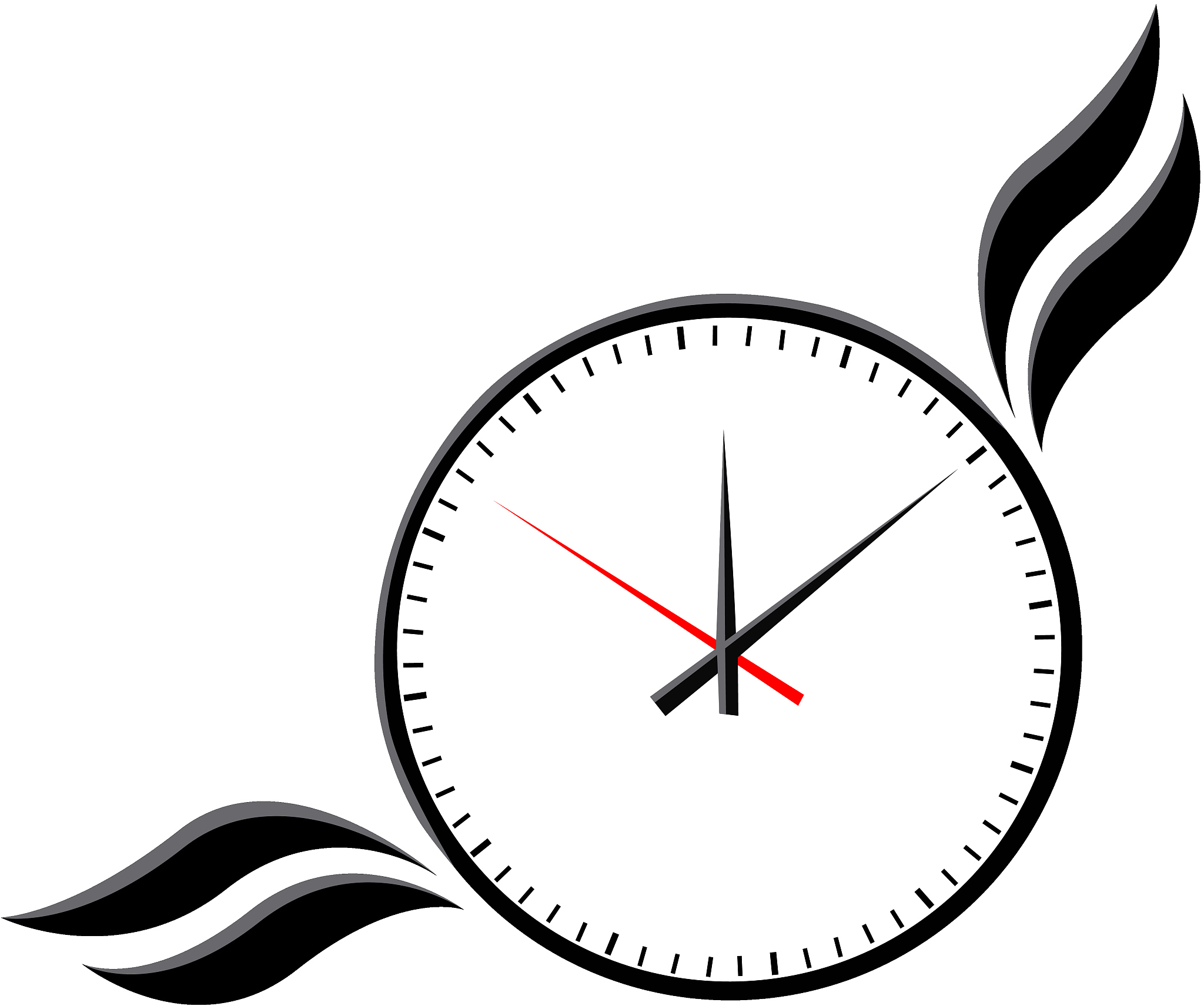 time flies concept