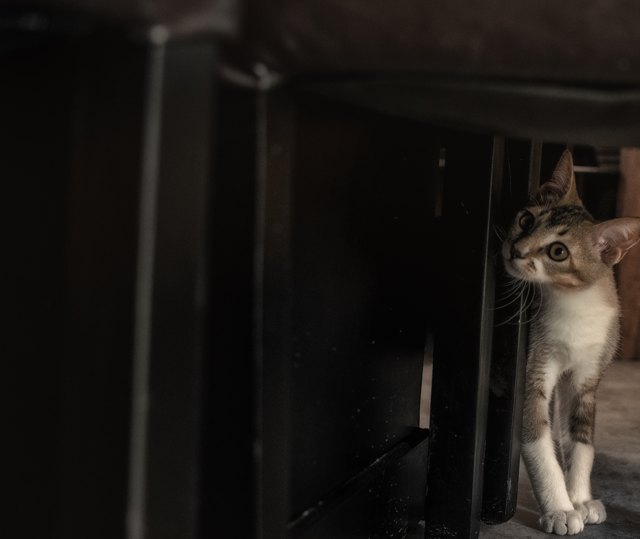 雨夜中的温暖：陌生人的善良