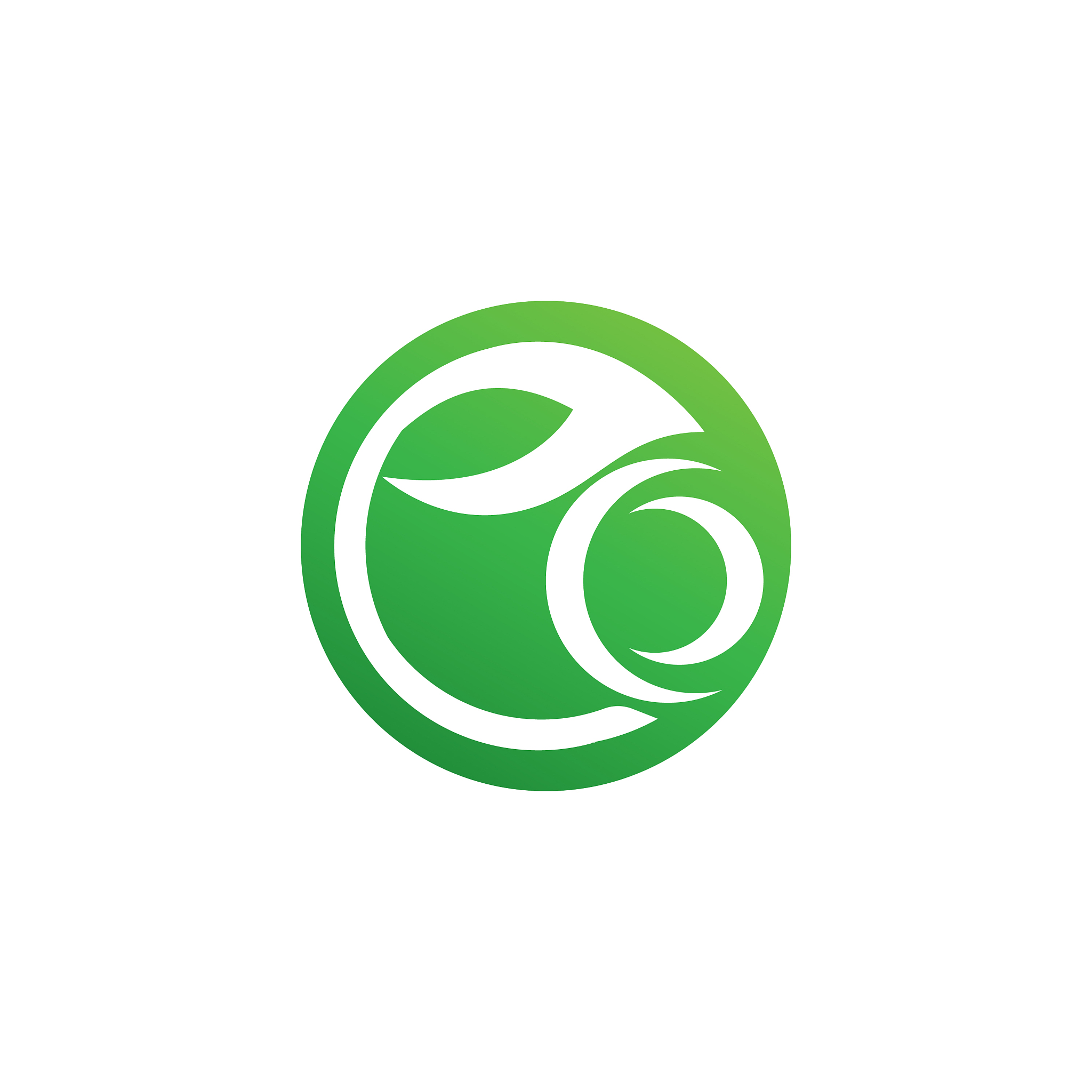 green tree leaf ecology nature element