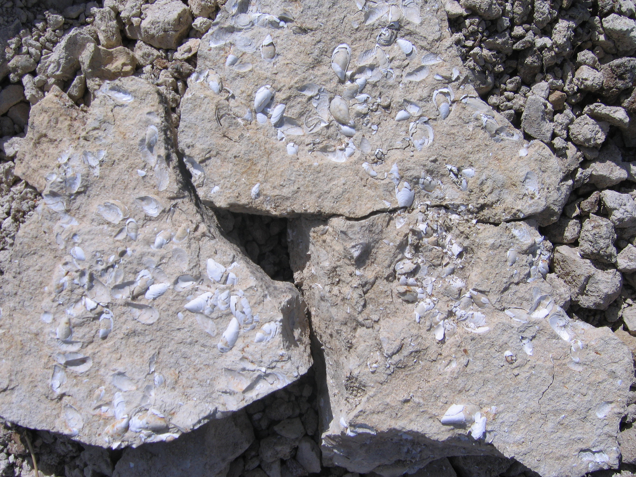 纯泥岩层段特征：识别和沉积环境解释