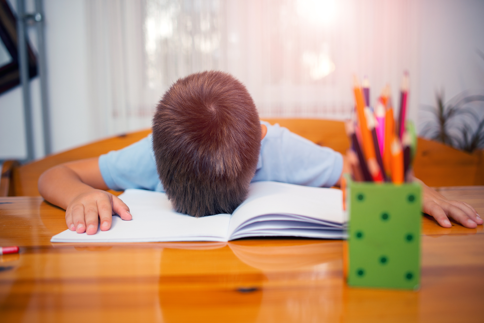 school boy sleeping on books