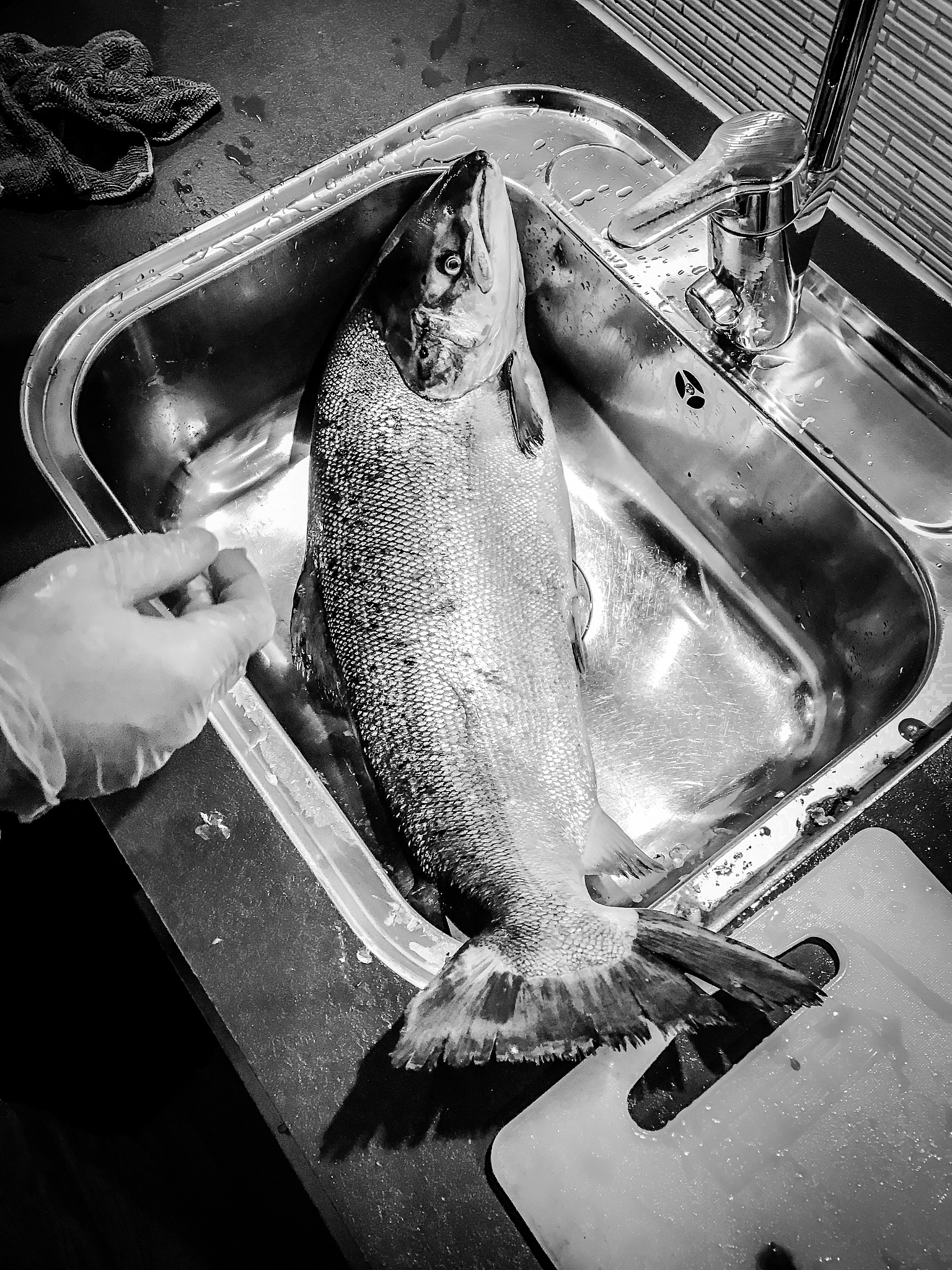 隔夜鱼能吃吗？保存方法很重要！