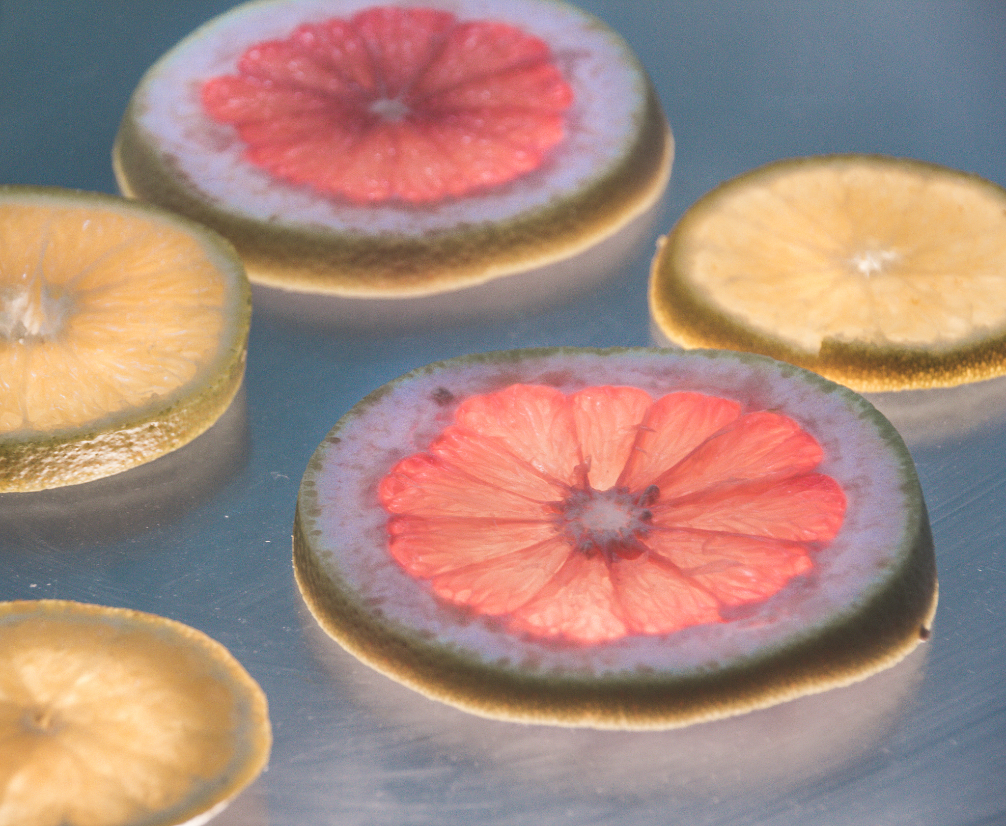 grapefruit and orange slices photograph on lighted glass