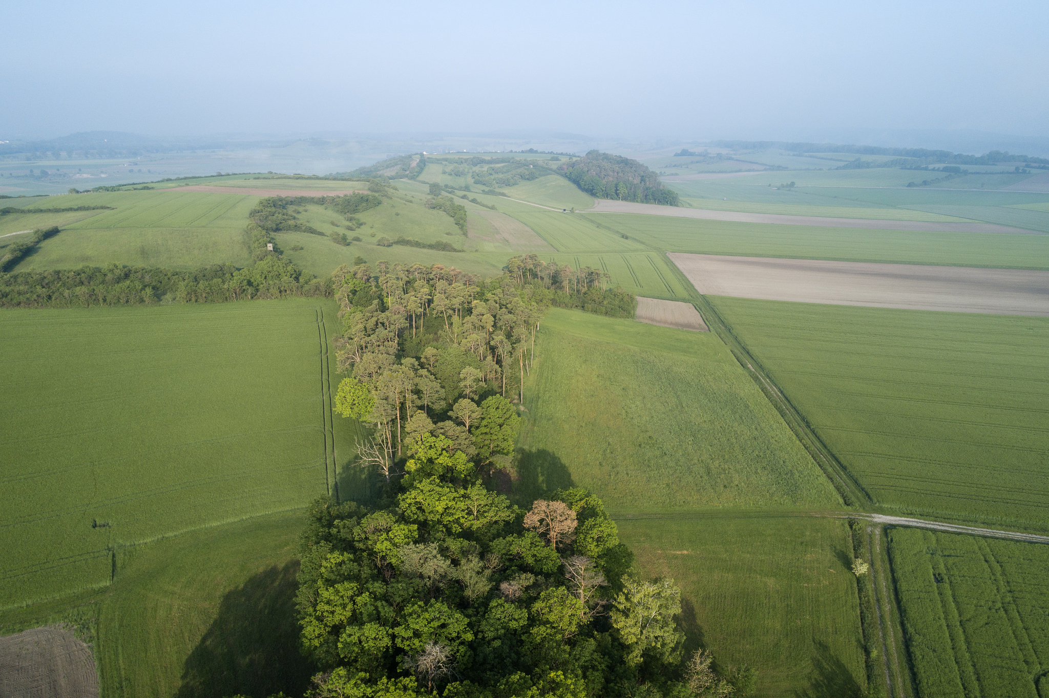 aerial view of rural landscape with agricultural fields, meadows