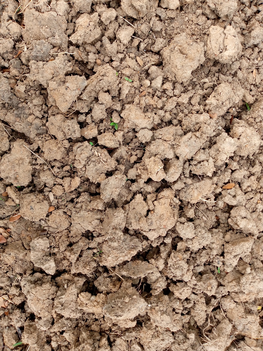 梨树断陷东坡地区填隙物组成及成因分析