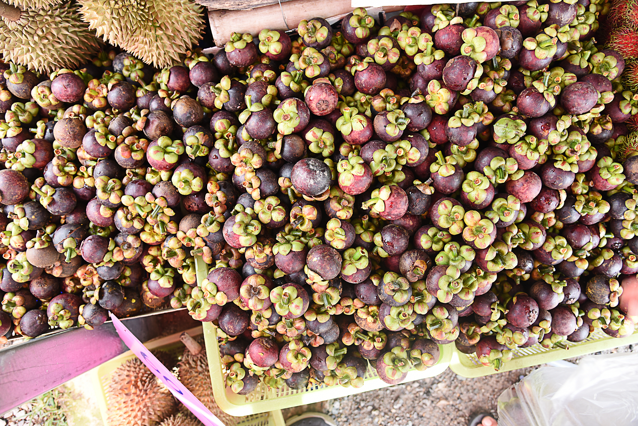 山竹有什么营养价值和功效