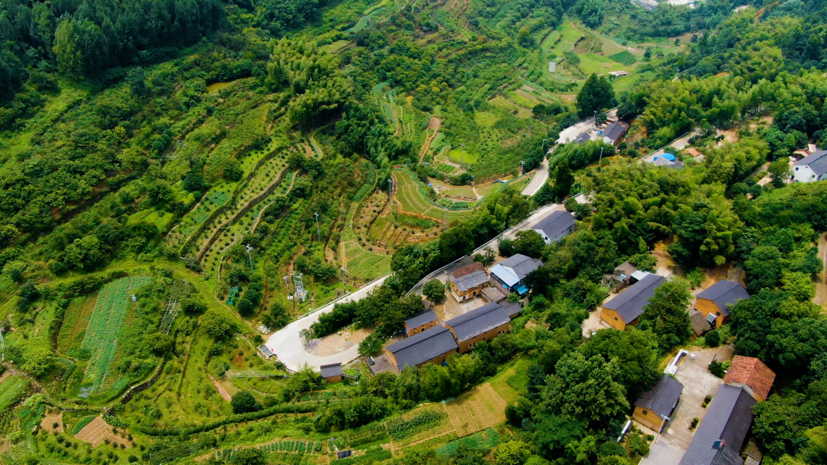 如今,乡村旅游正当时,不妨来巴渝,感受一番乡村的宁静与美丽