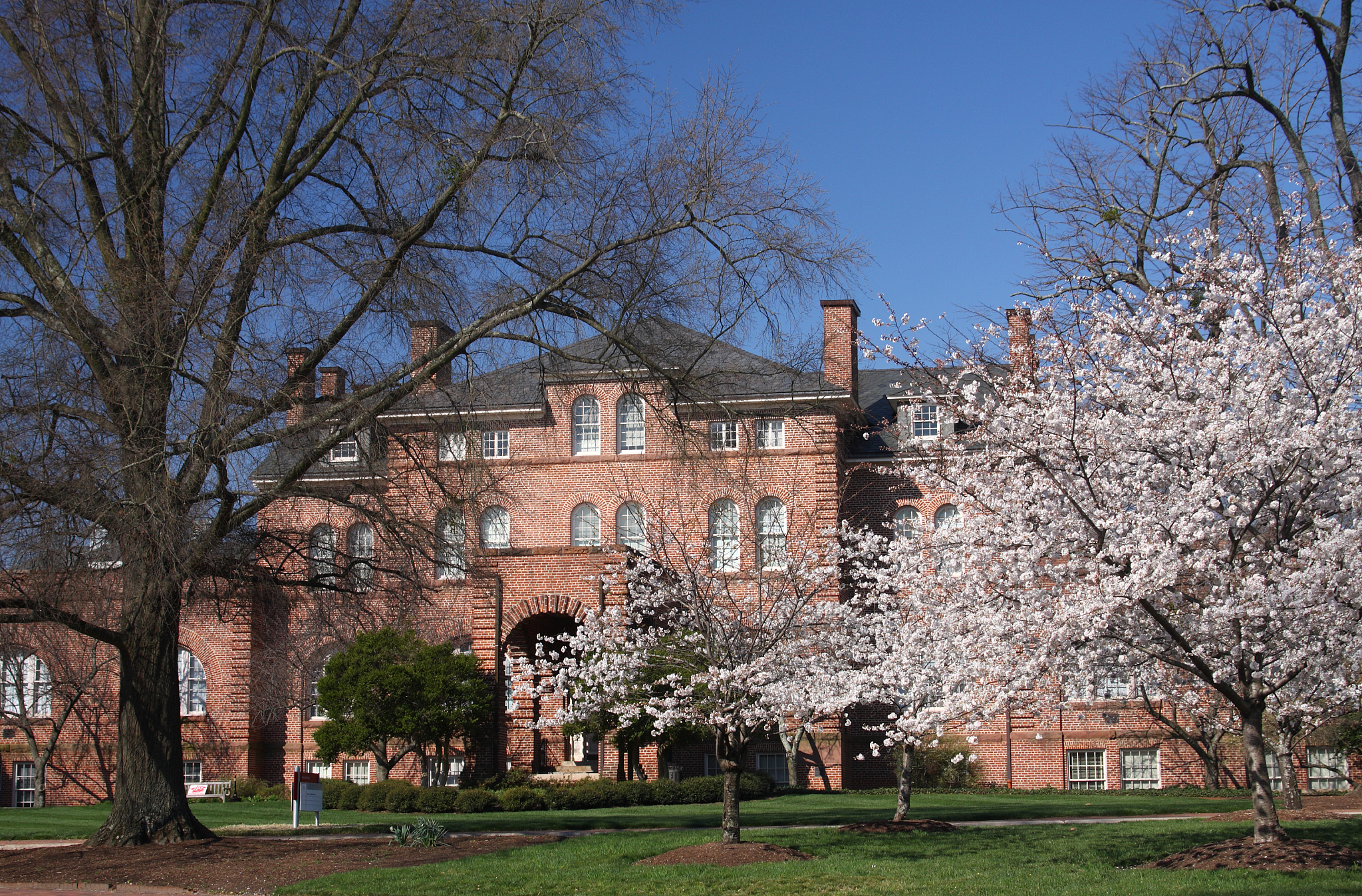 north carolina state university