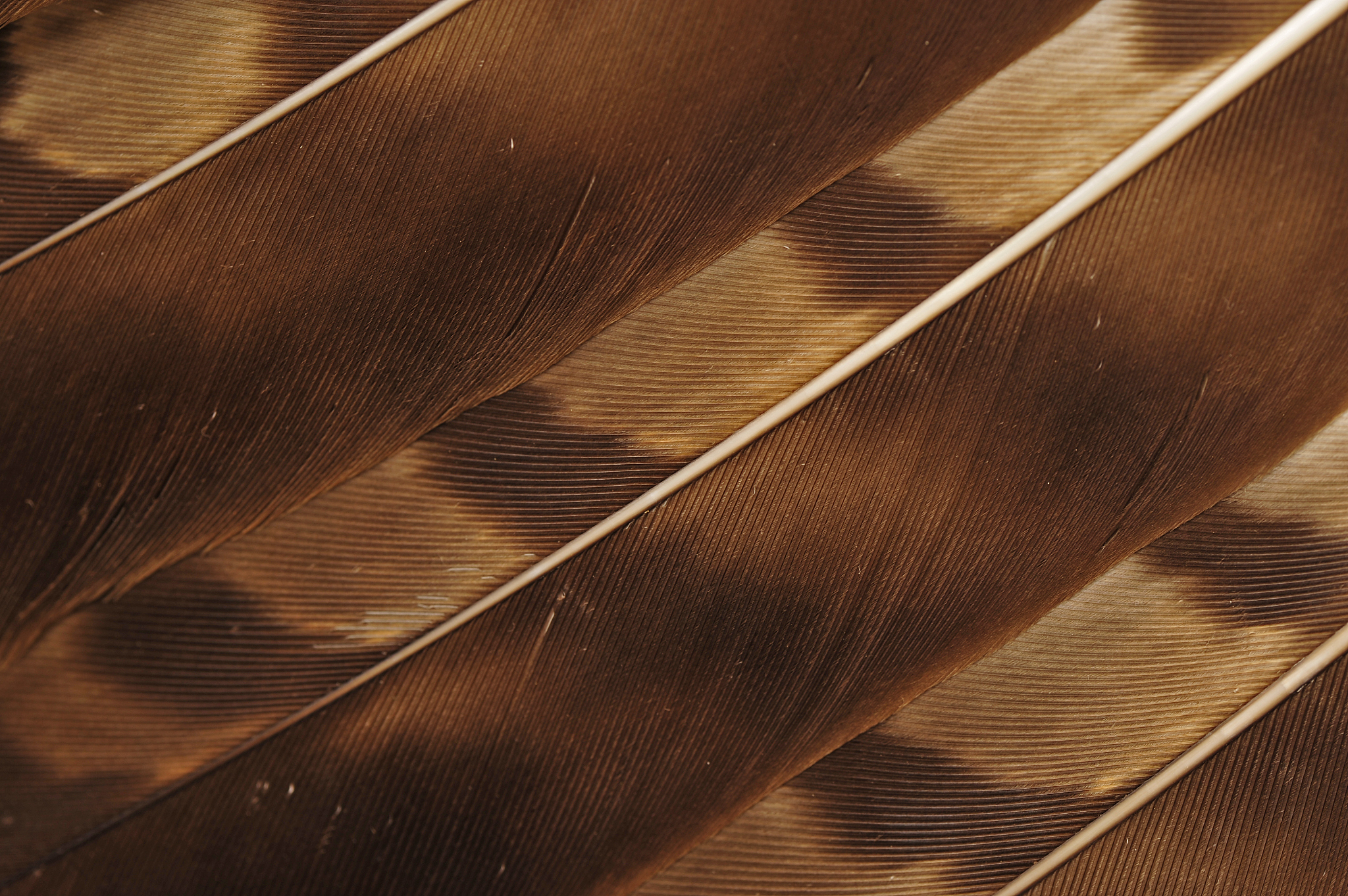 贵州省特殊教育专业学制是多久？是几年