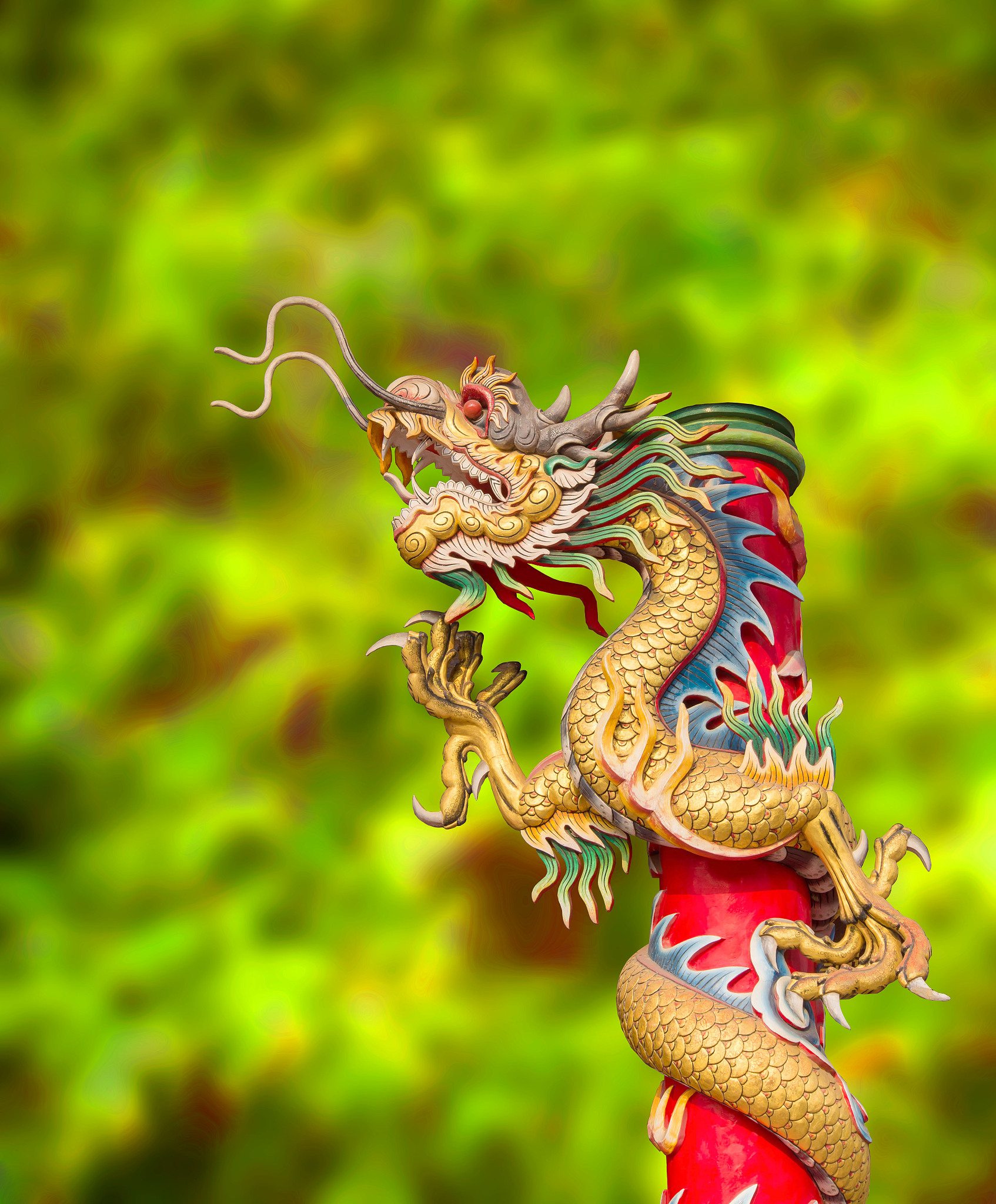 dragon