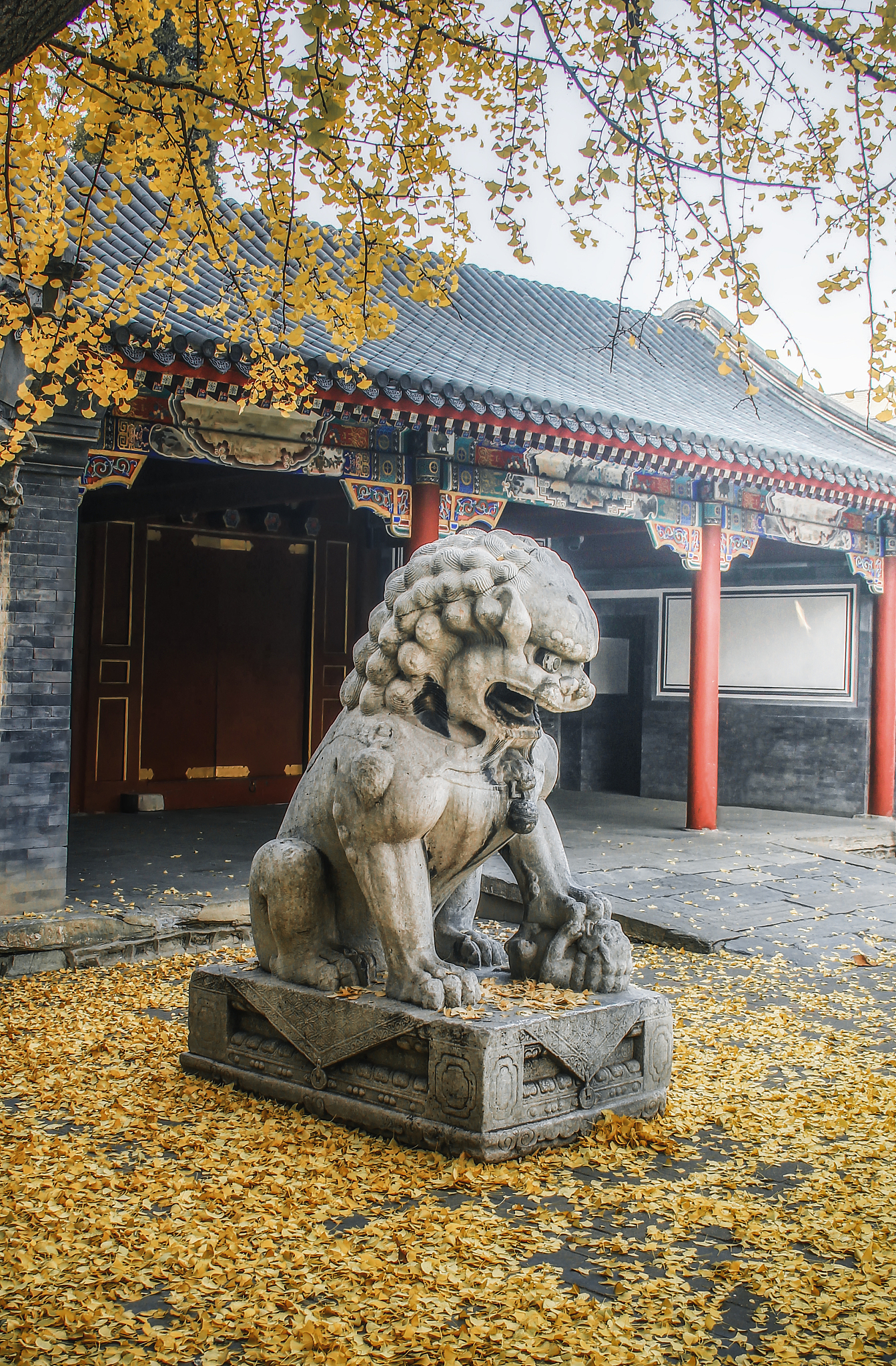 高中化学一共学几本书