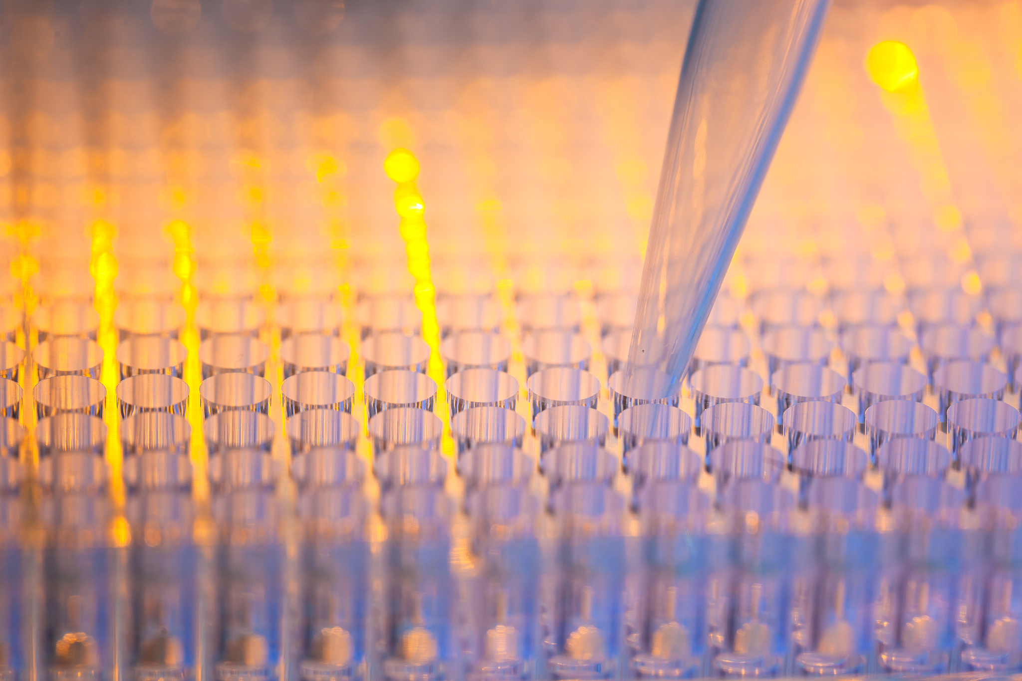 湖南中医药大学生物工程专业怎么样