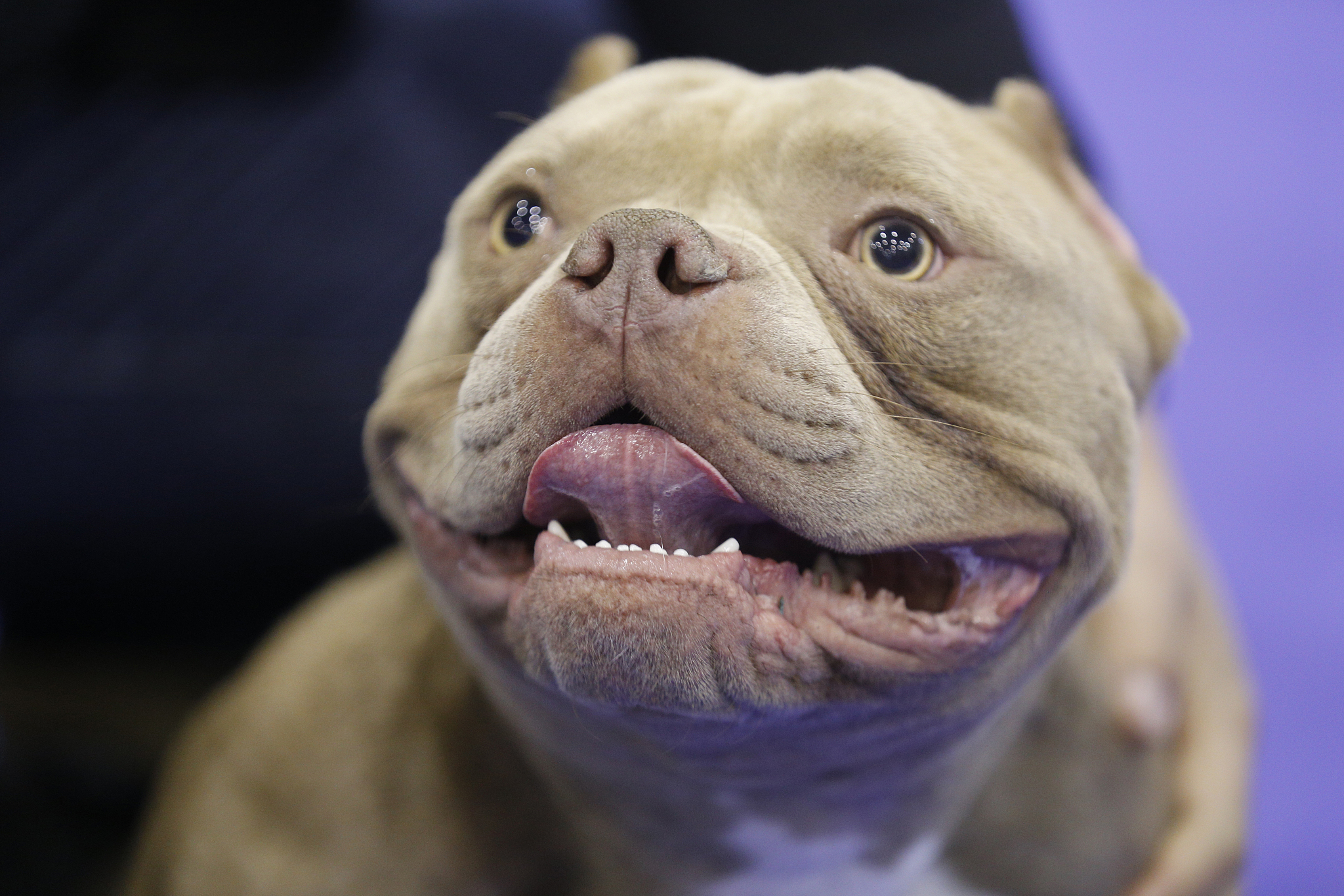 搞笑的直播话术