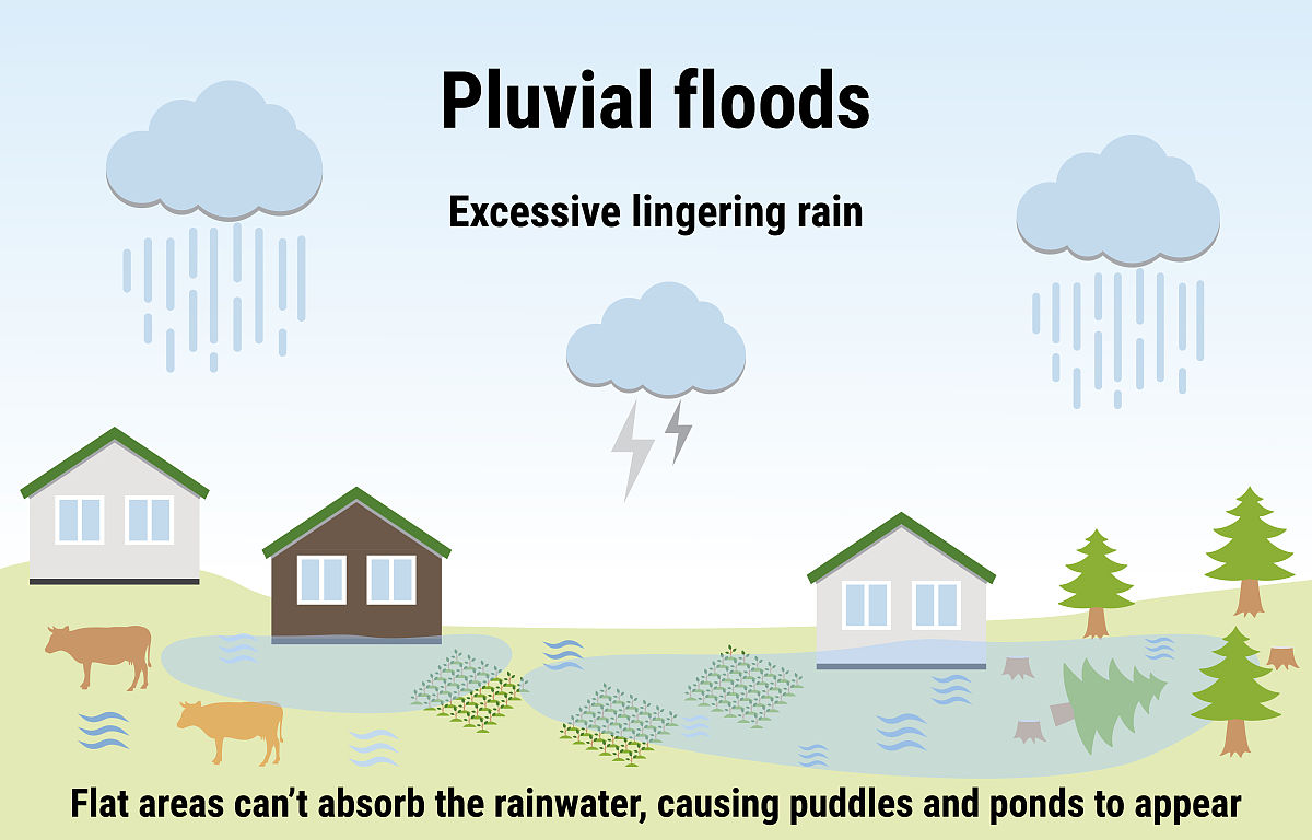 哪些不会影响采购价格因素