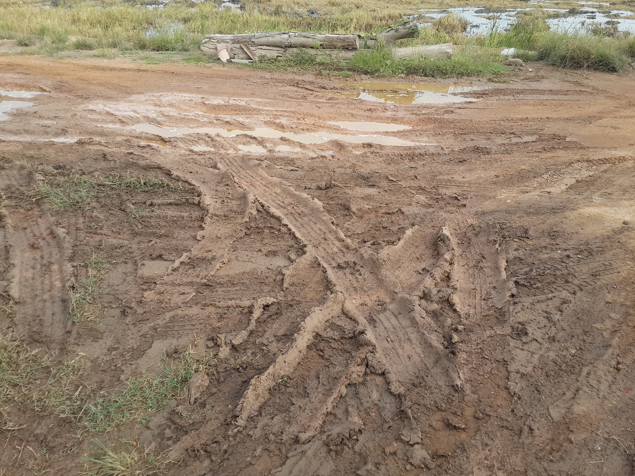 粉质黏土积水原因：强降雨的影响