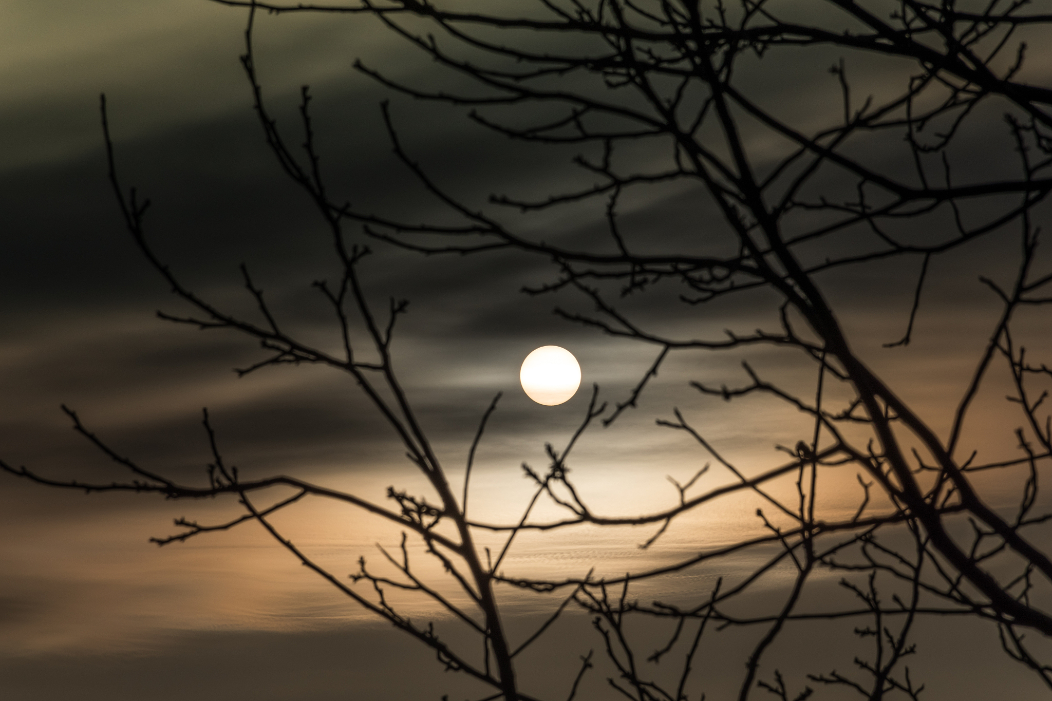 明月夕阳, 6字诗句, 优美意境 - 古诗词鉴赏
