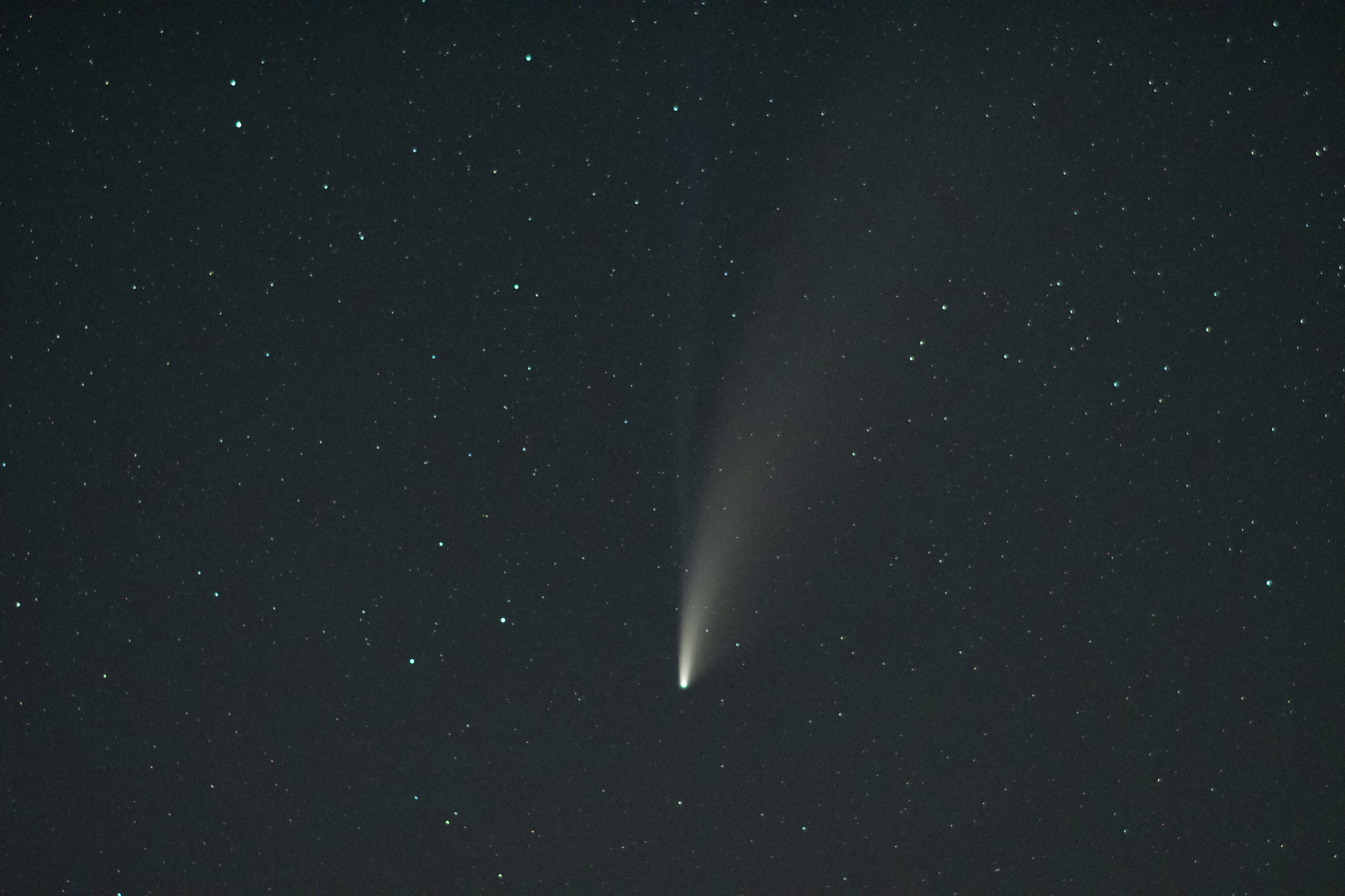 view of comet neowise in the night sky