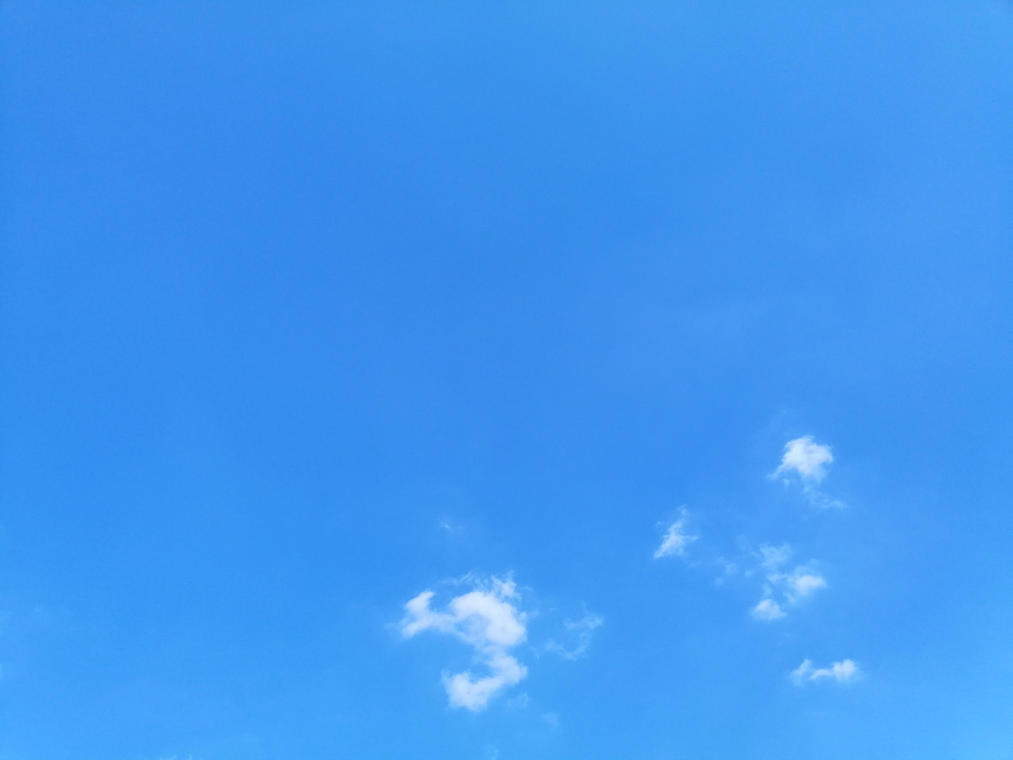 把我的描述转换成颜色：今天天气很好微风拂面