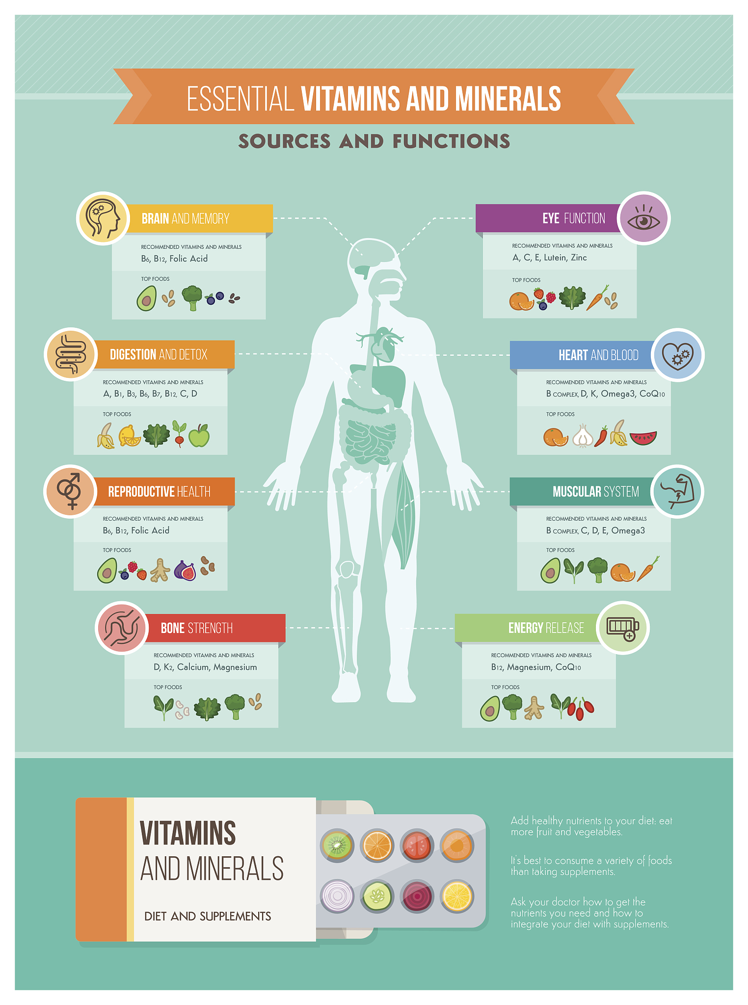 痛风患者为什么更容易出现代谢综合征包括肥胖、高血压、高血糖和高血脂等？