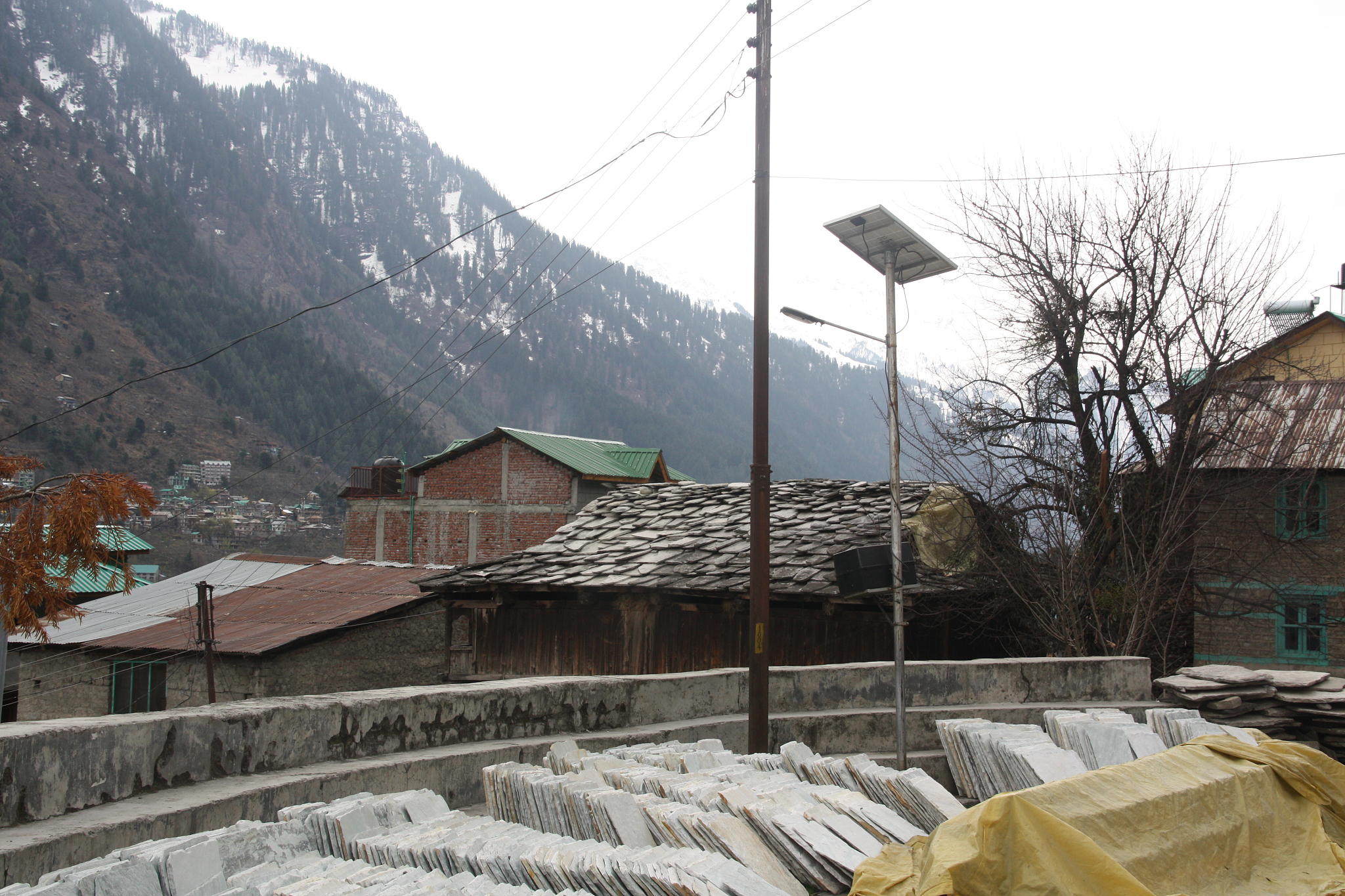 重庆市北碚区老城的龙凤镇工作业务特征