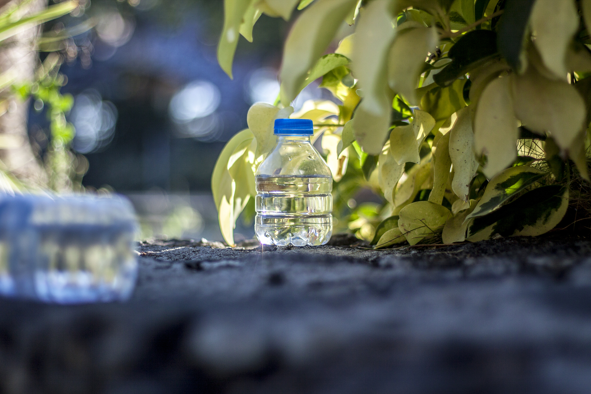 #大自然 精神上的氧气瓶#围绕这篇博文写1条10字左右的评论