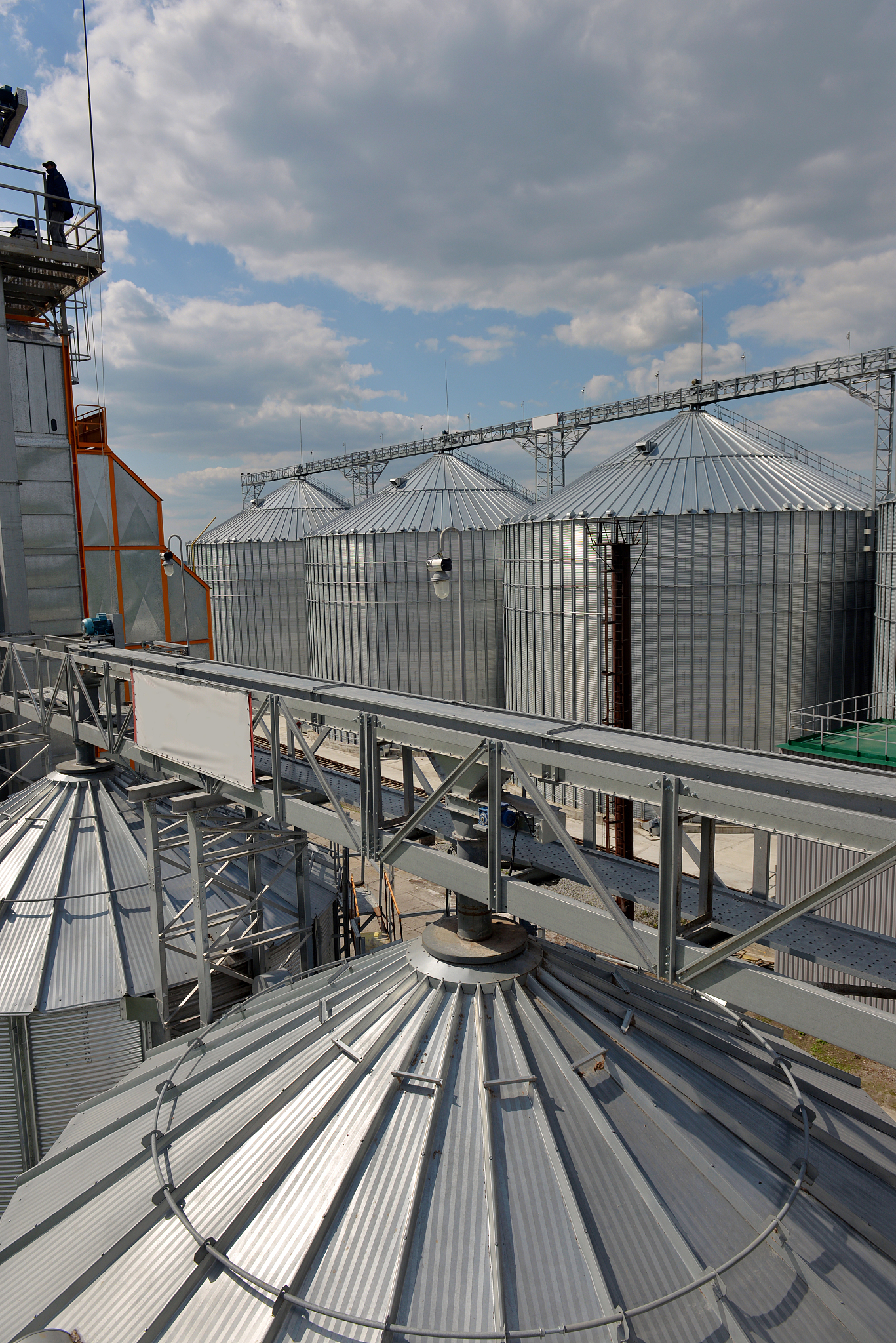 俄罗斯农产品出口：小麦、谷物和植物油引领全球市场