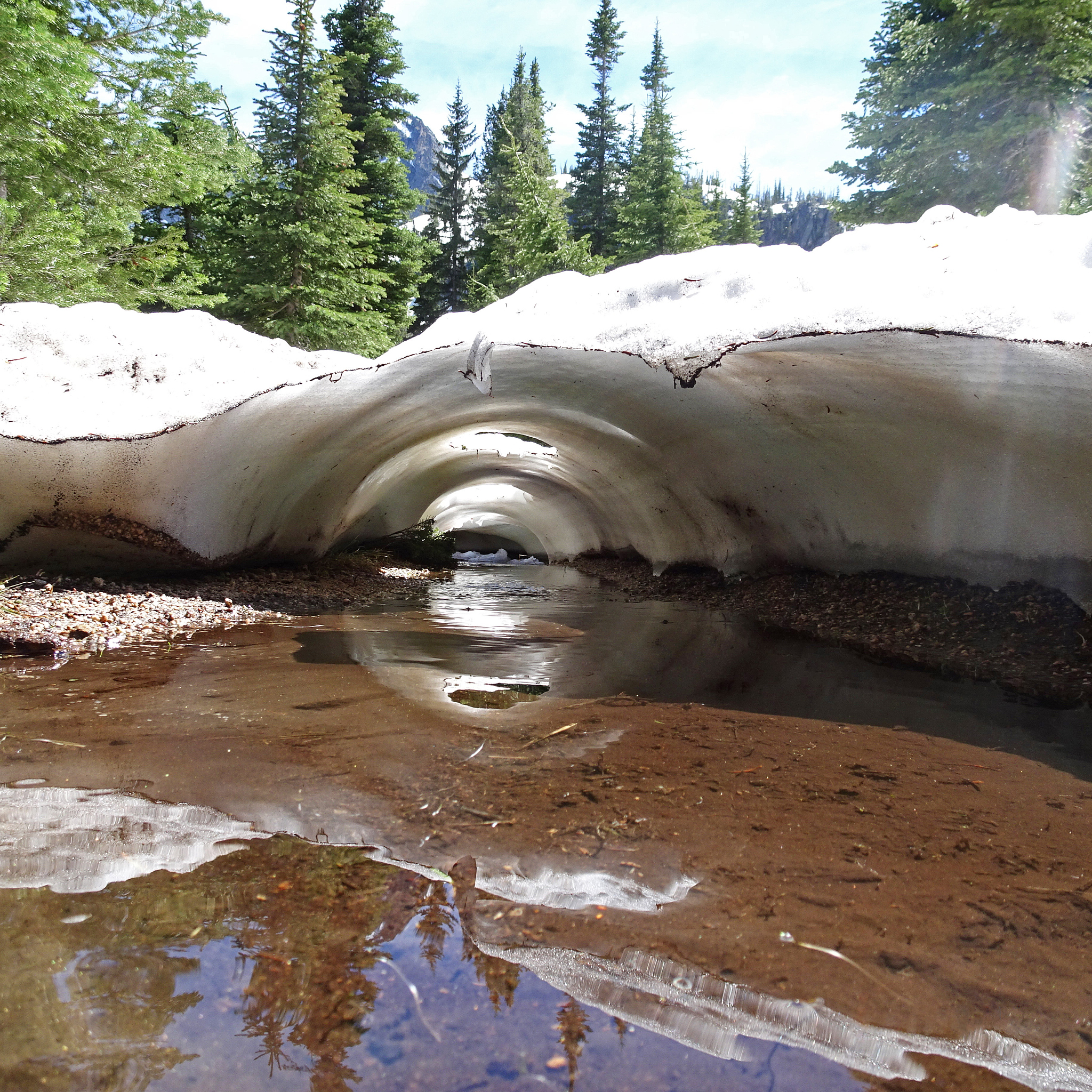 请优化以下论文的前言部分优化得更具有逻辑性和学术性Conventional high-yielding cultivation methods for winter wheat require large fertilizer and water to promote the growth of individual plants Wang et al 2006; Liu et al 2016;