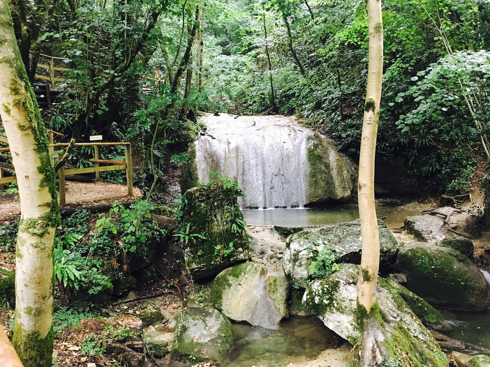 深圳市梧桐山攻略