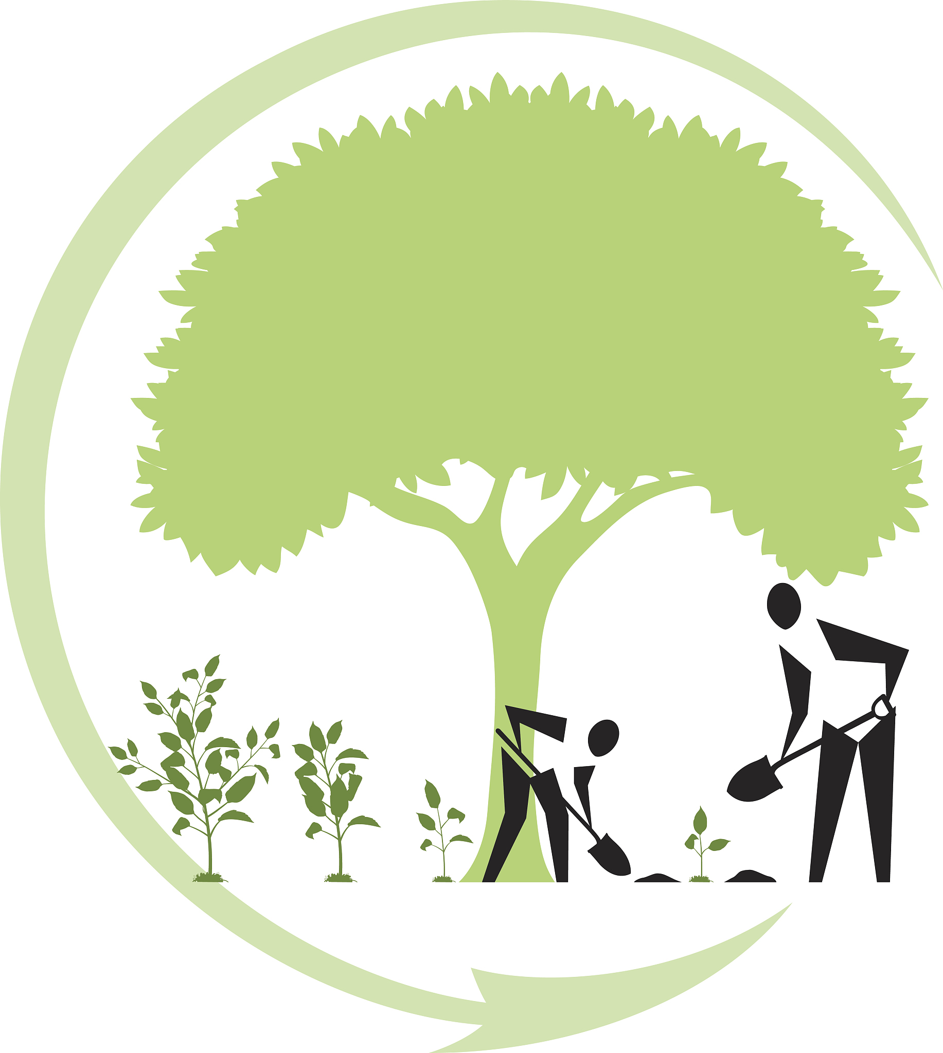 投资植树造林的公司