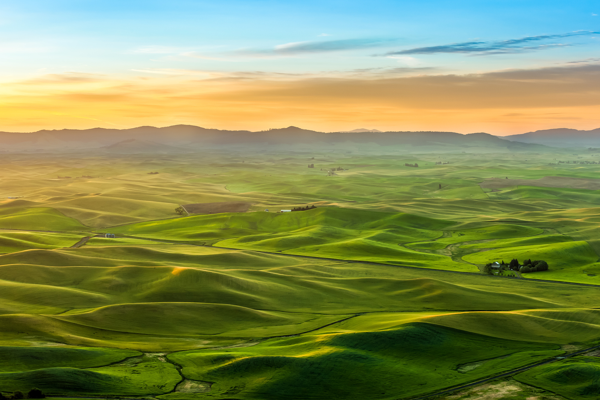 good morning palouse