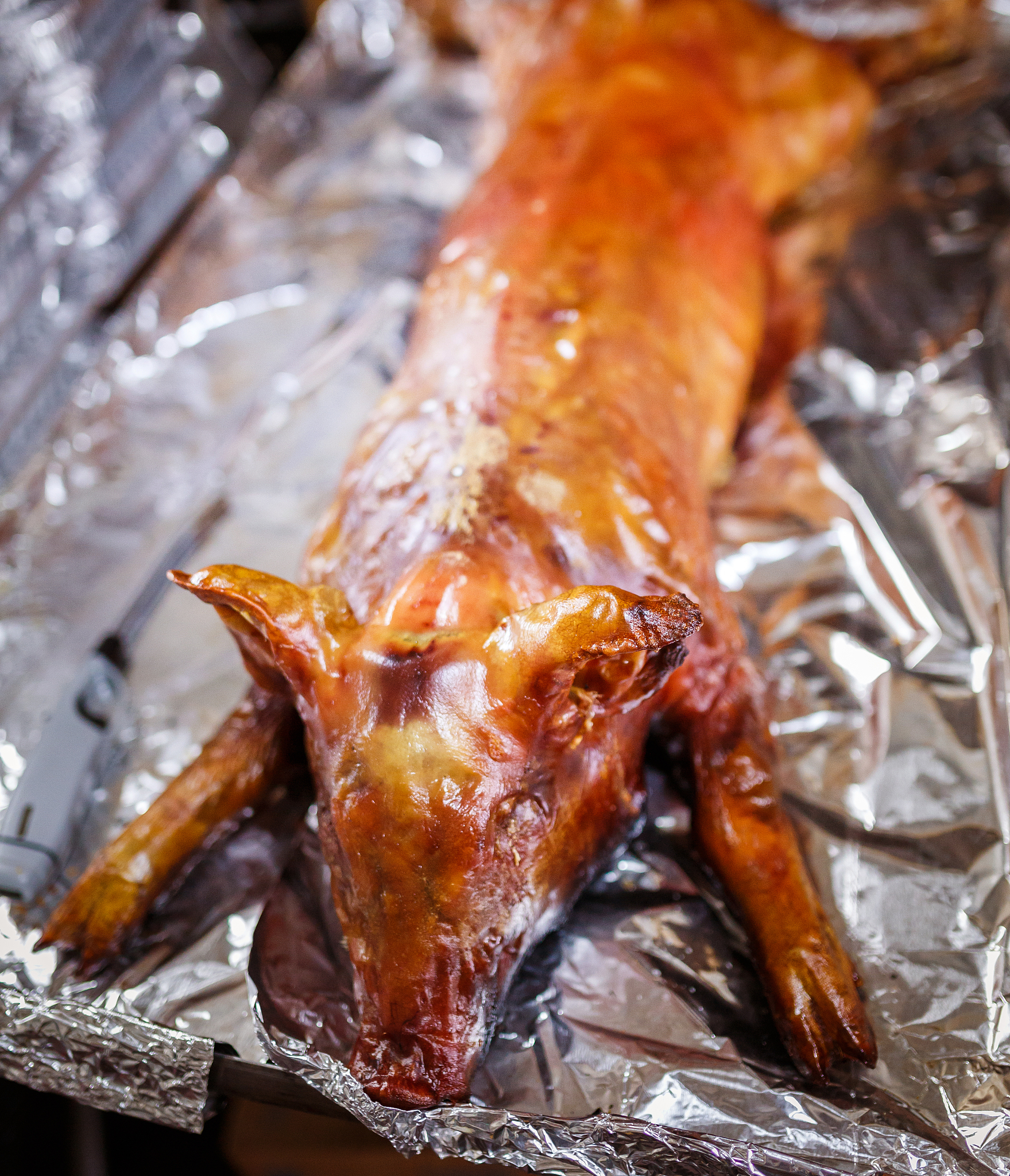 roasted pig
