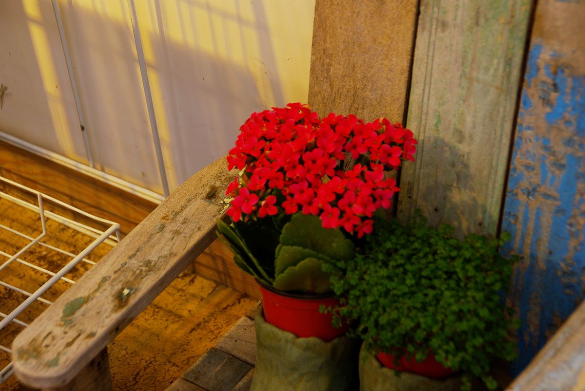 活动道具数量不足问题排查及解决方案